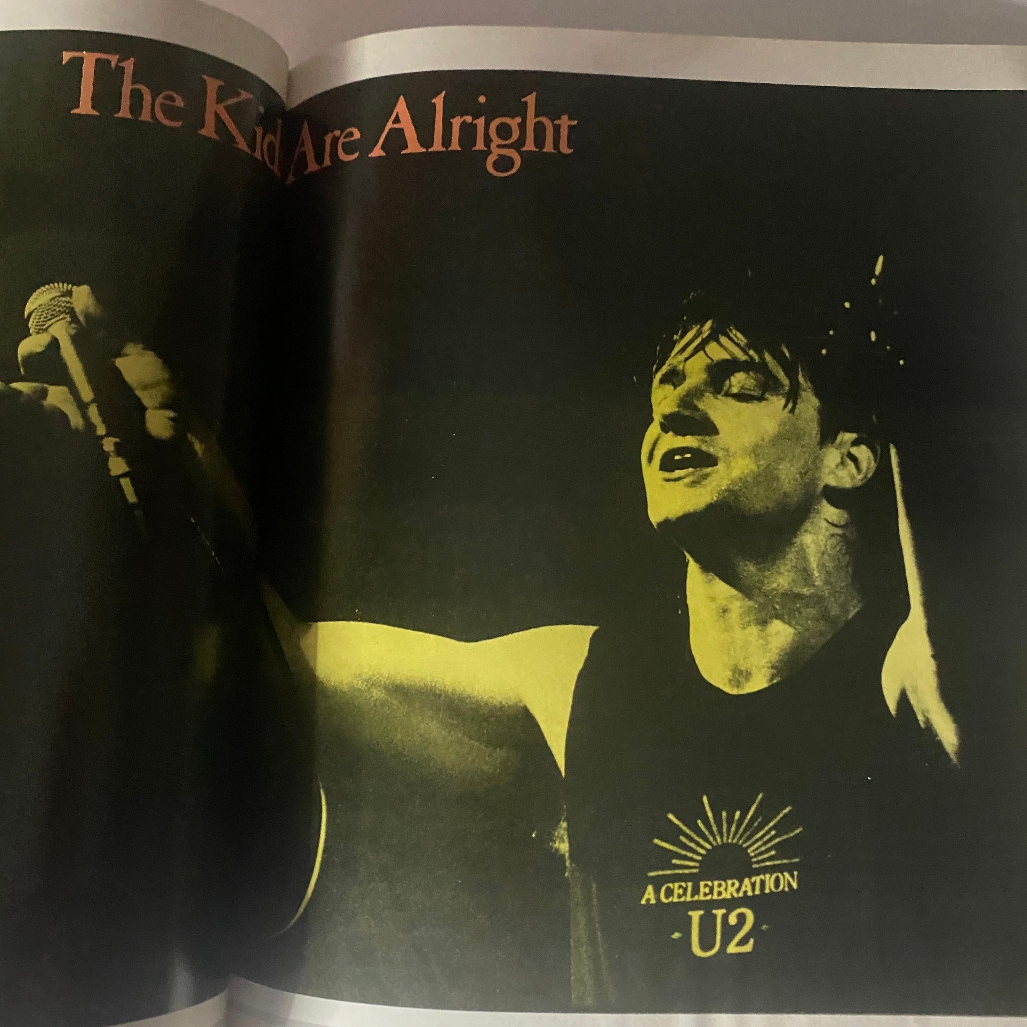 The U2 File: A Hot Press U2 History Edited by Niall Strokes, 1978-1985