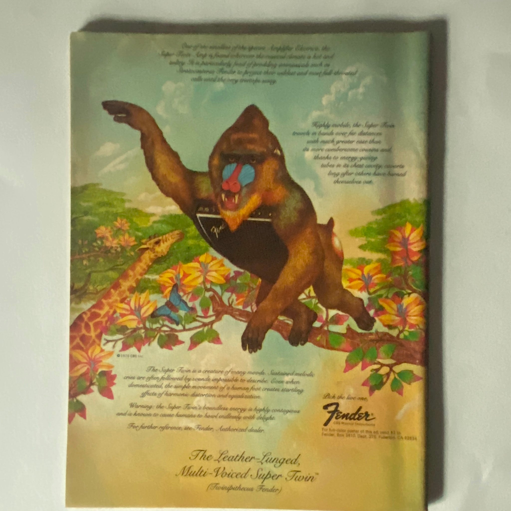 Back cover of VTG Hit Parader Magazine July 1977 featuring a colorful advertisement for Fender guitars, depicting artistic designs and a humorous monkey illustration.