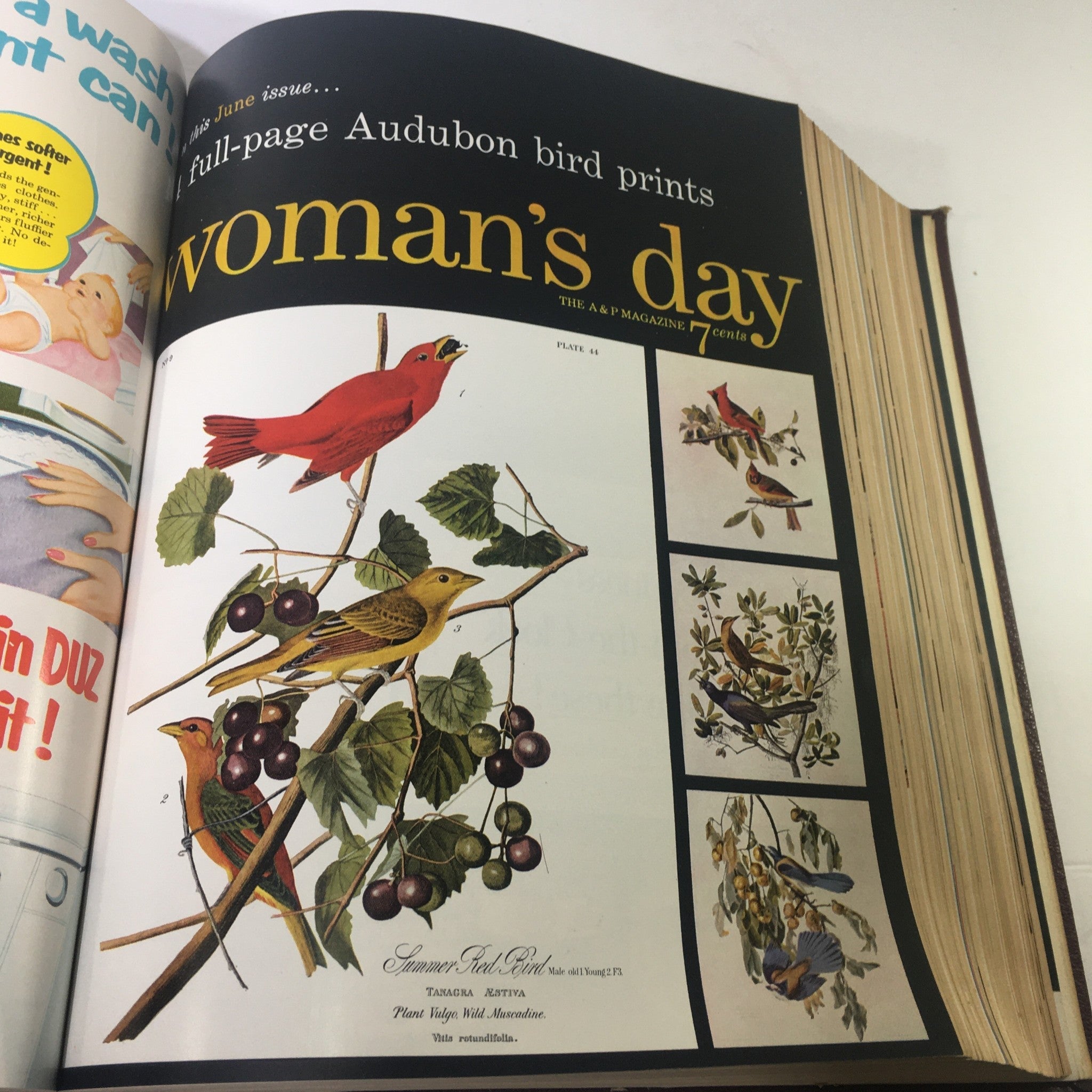 1954 Woman's Day Magazine Complete Year Round In One Book Compilation