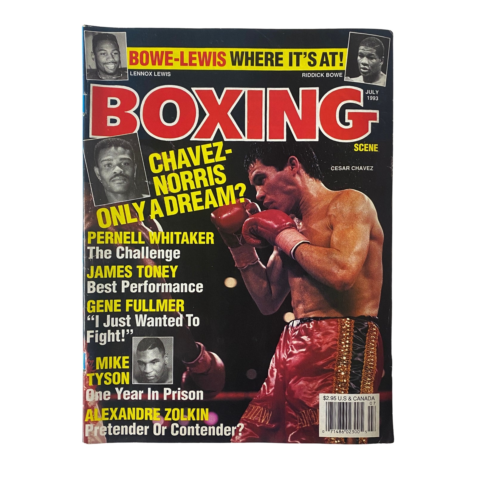 Boxing Scene Magazine cover from July 1993 featuring Cesar Chavez, highlighting major articles including 'Chavez-Norris: Only a Dream?' and 'Mike Tyson: One Year in Prison'.