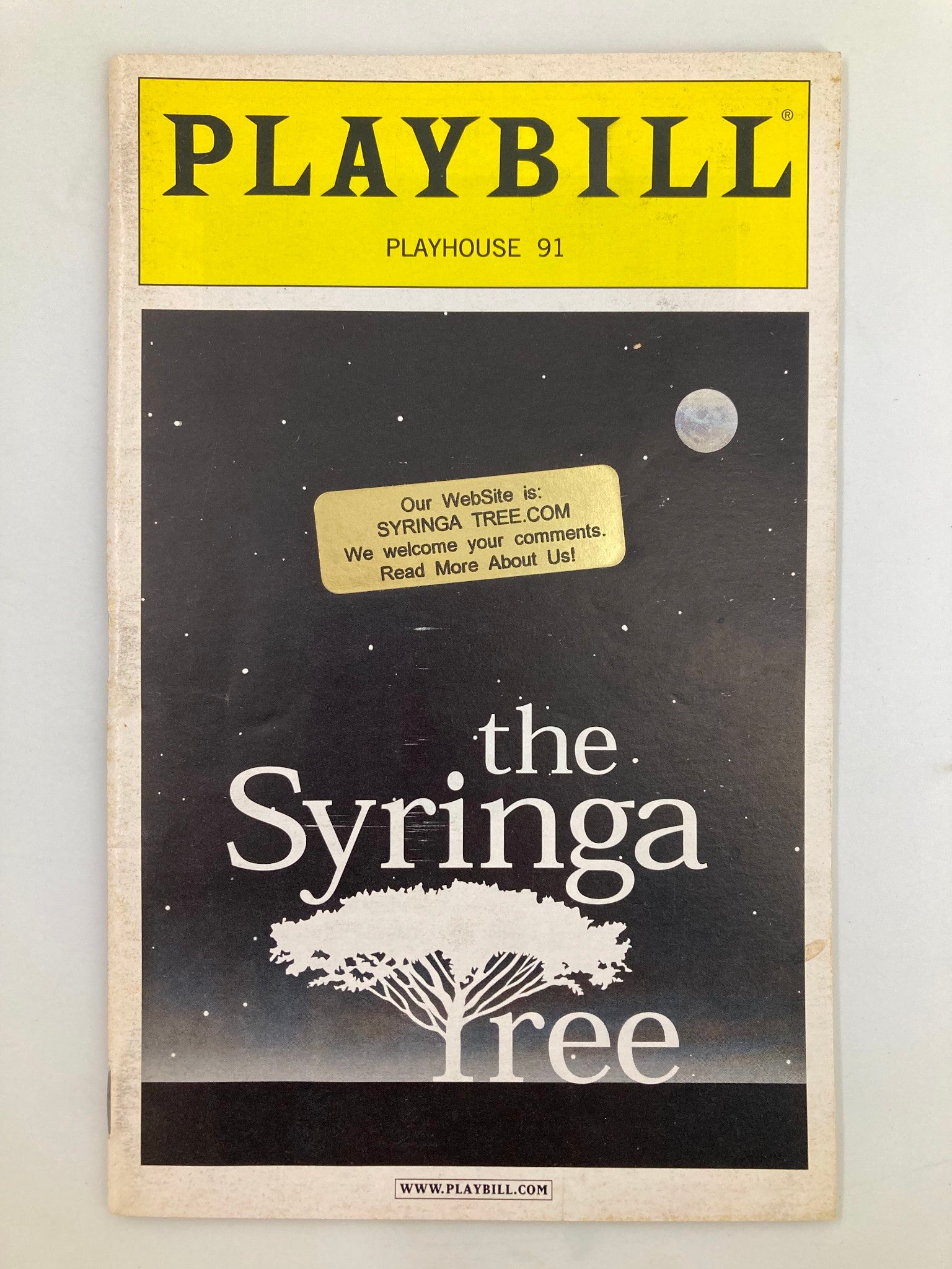 2002 Playbill Playhouse 91 The Syringa Tree Kate Blumberg, Matt Salinger