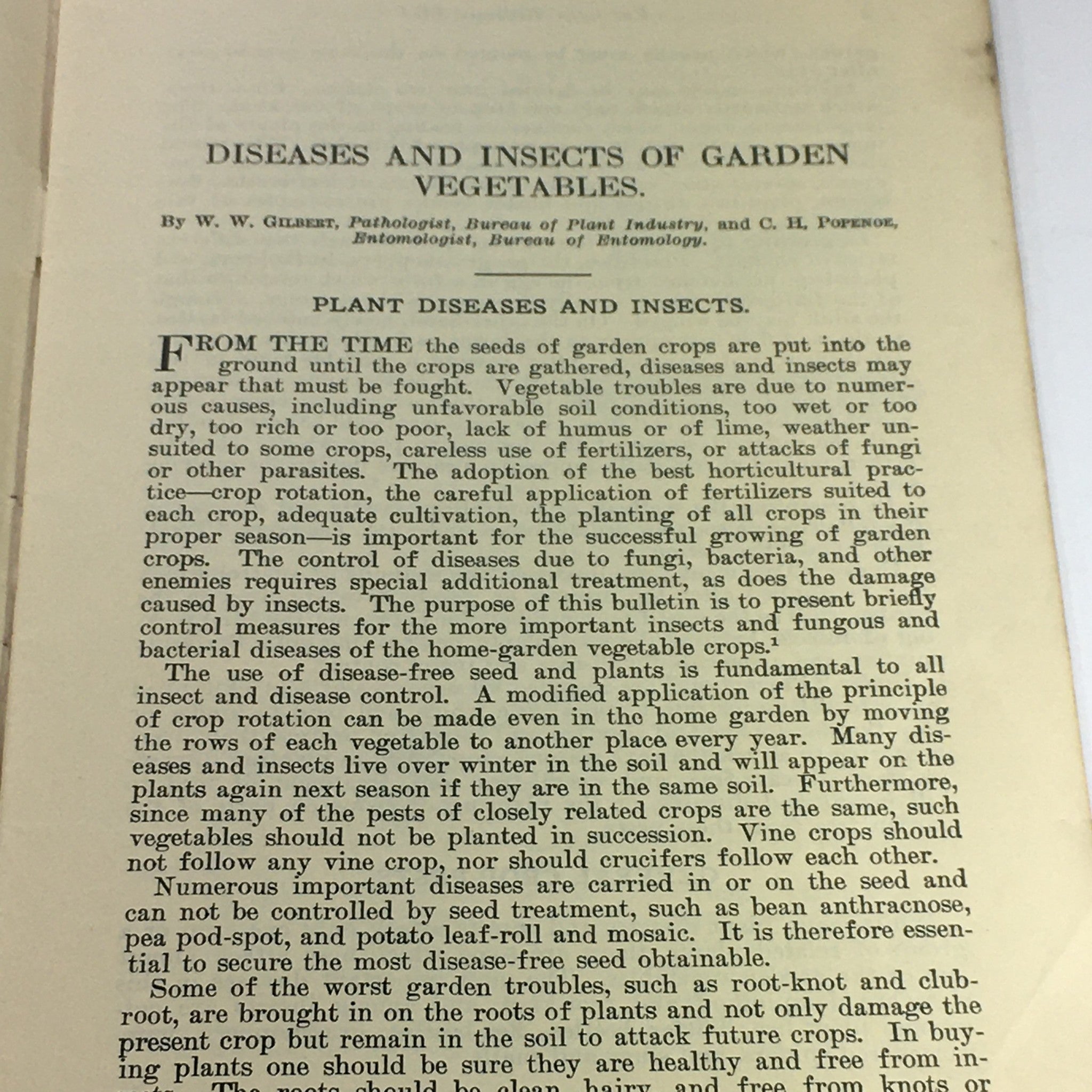 VTG January 1924 U.S. Department of Agriculture Farmers' Bulletin No. 1371