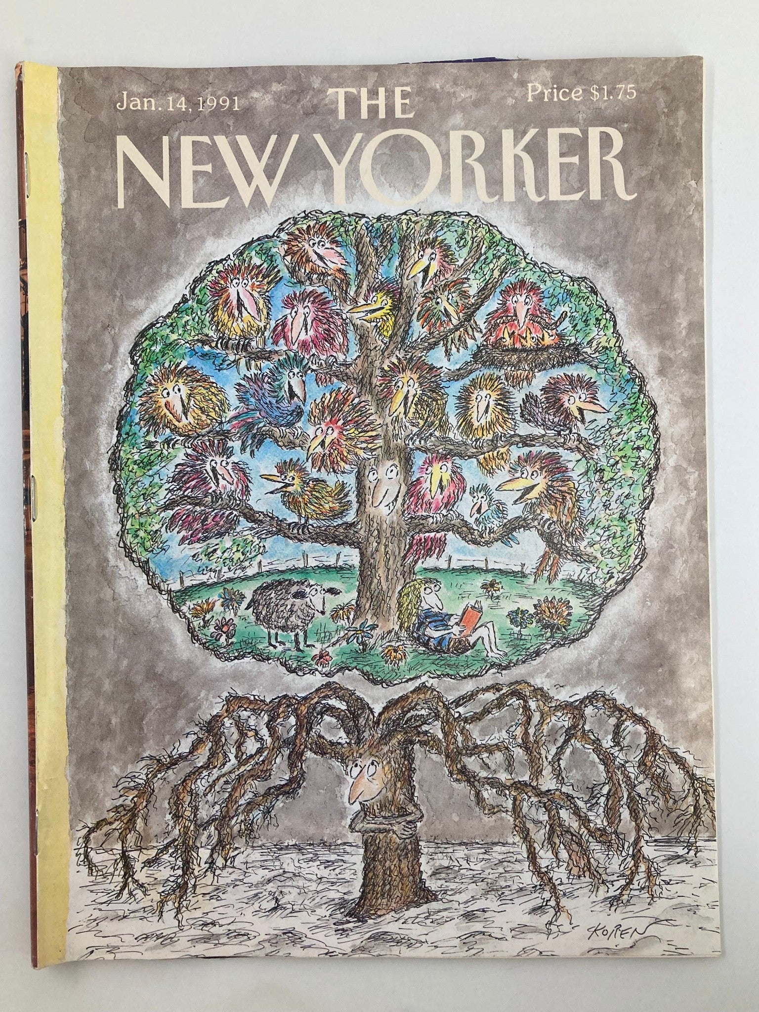 The New Yorker Full Magazine January 14 1991 Tree of Life by Edward Koren