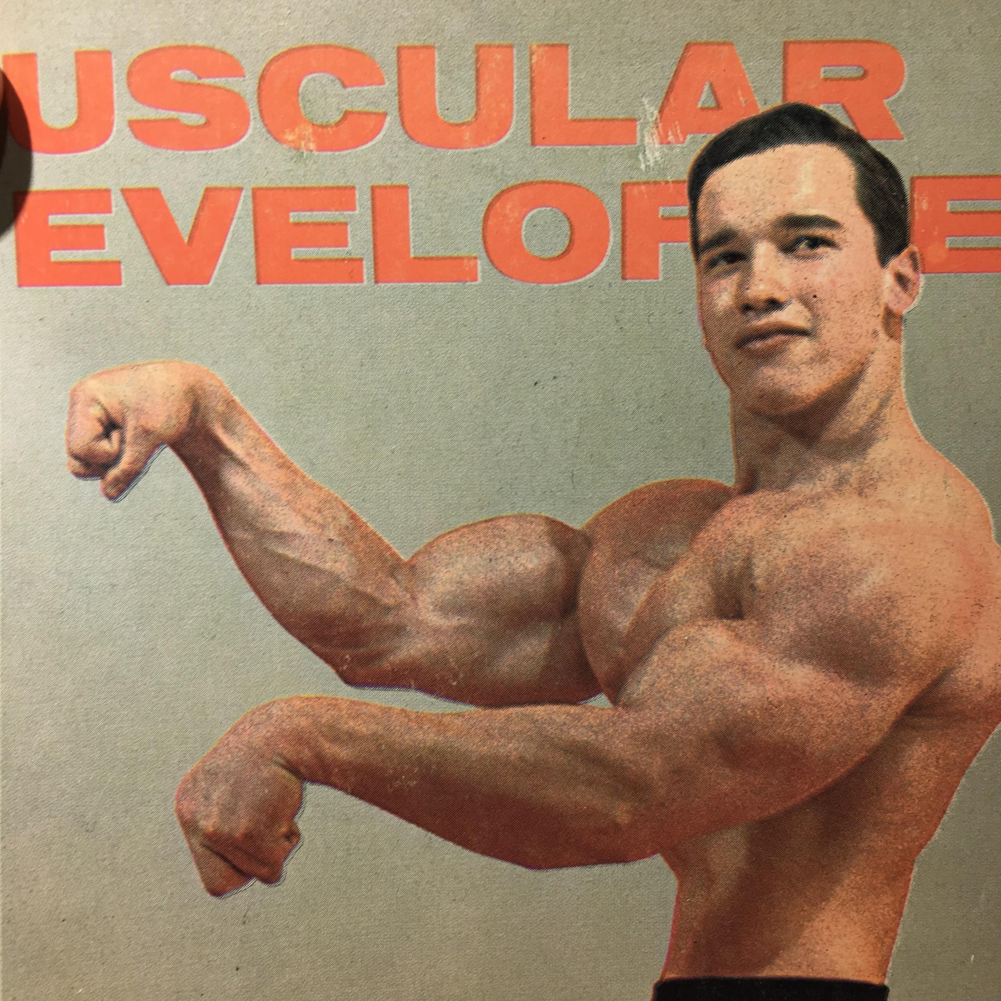 Detailed shot of Muscular Development Magazine's title with Arnold Schwarzenegger striking a flexing pose from the August 1967 issue, highlighting the magazine's vintage style.