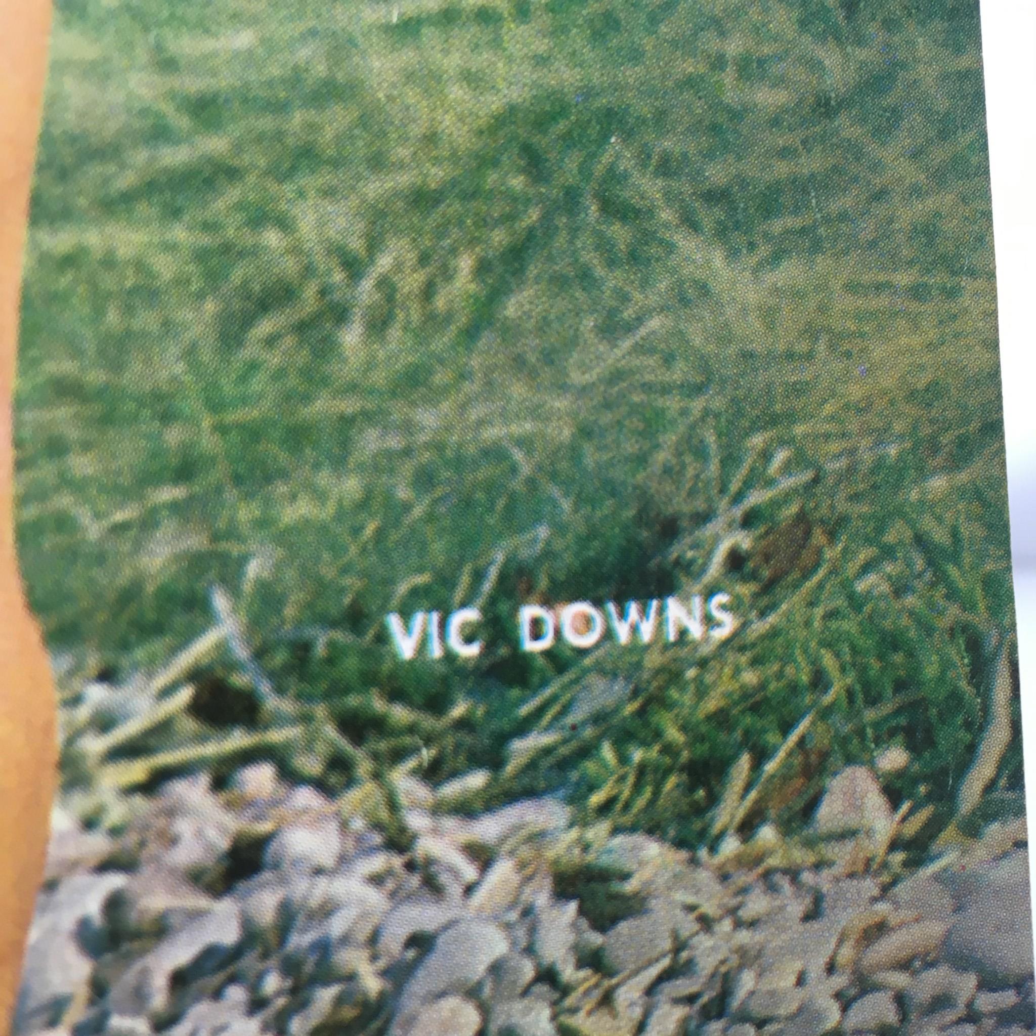 Image close-up from Muscular Development Magazine, November 1968, showing the name 'Vic Downs' on the cover.
