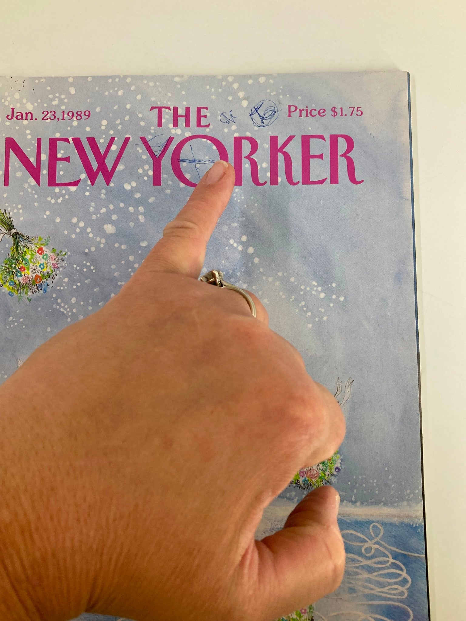 The New Yorker Full Magazine January 23 1989 Flamingo Dance by Ronald Searle