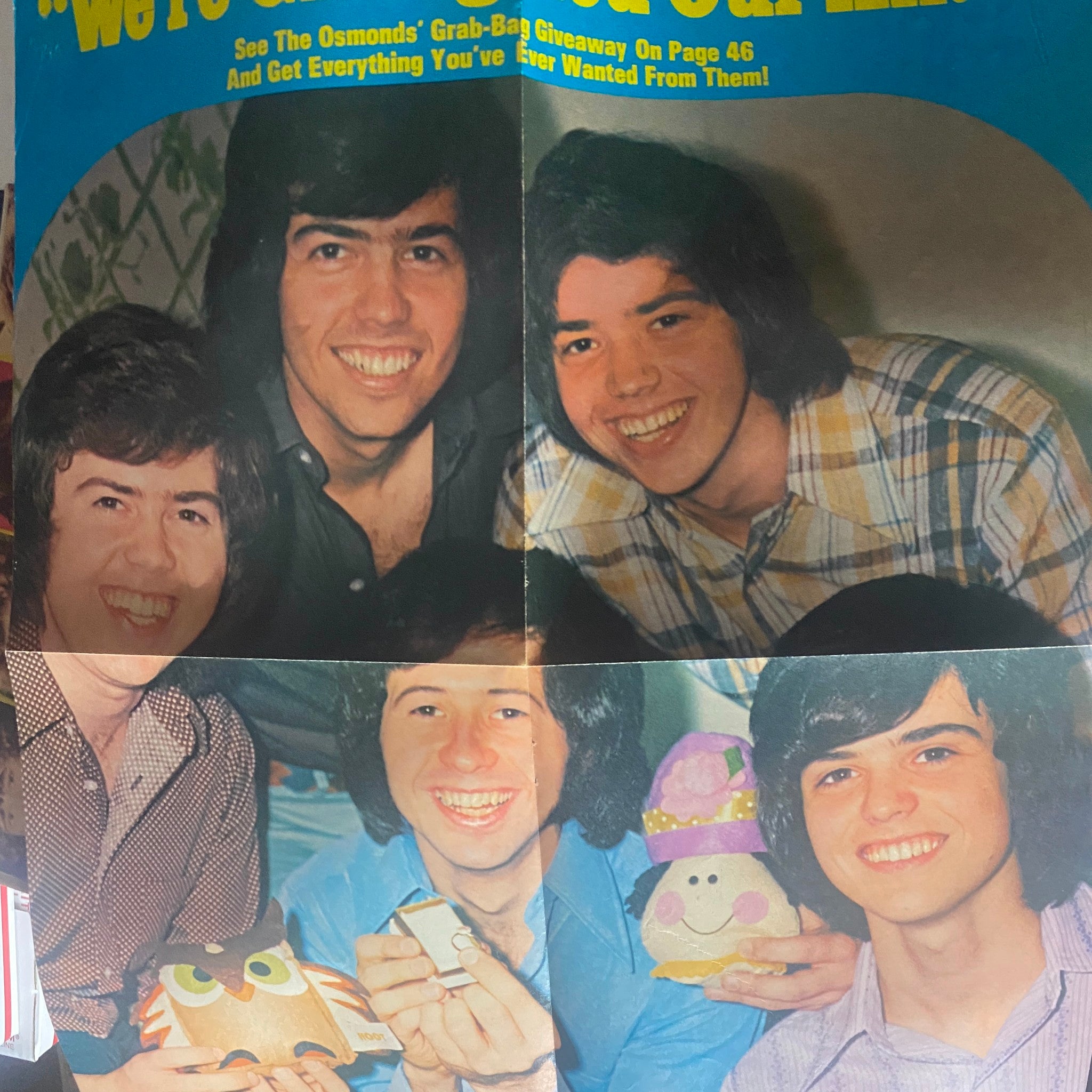 VTG 16 Magazine December 1973 Vol 15 No. 7 Andy & David Williams w Poster