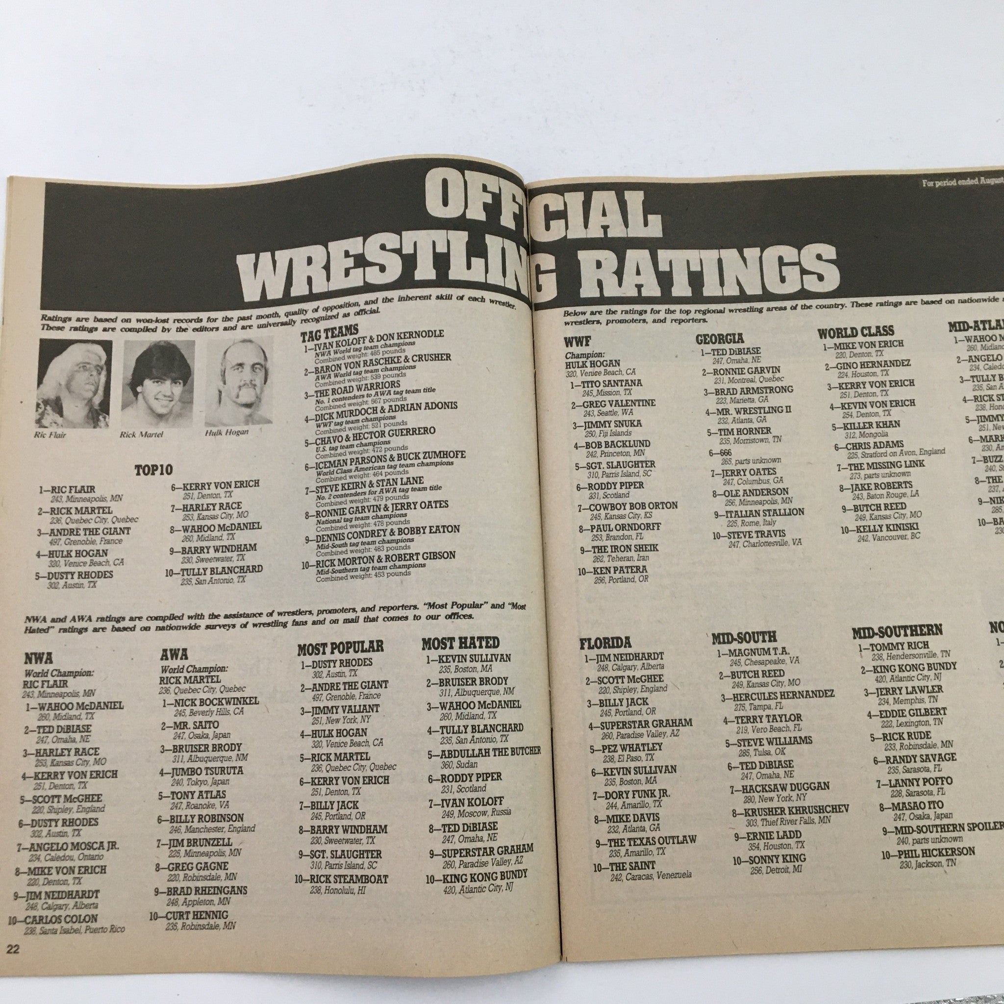 Official wrestling ratings page from Sports Review Wrestling Magazine November 1984 listing top wrestlers and tag teams.
