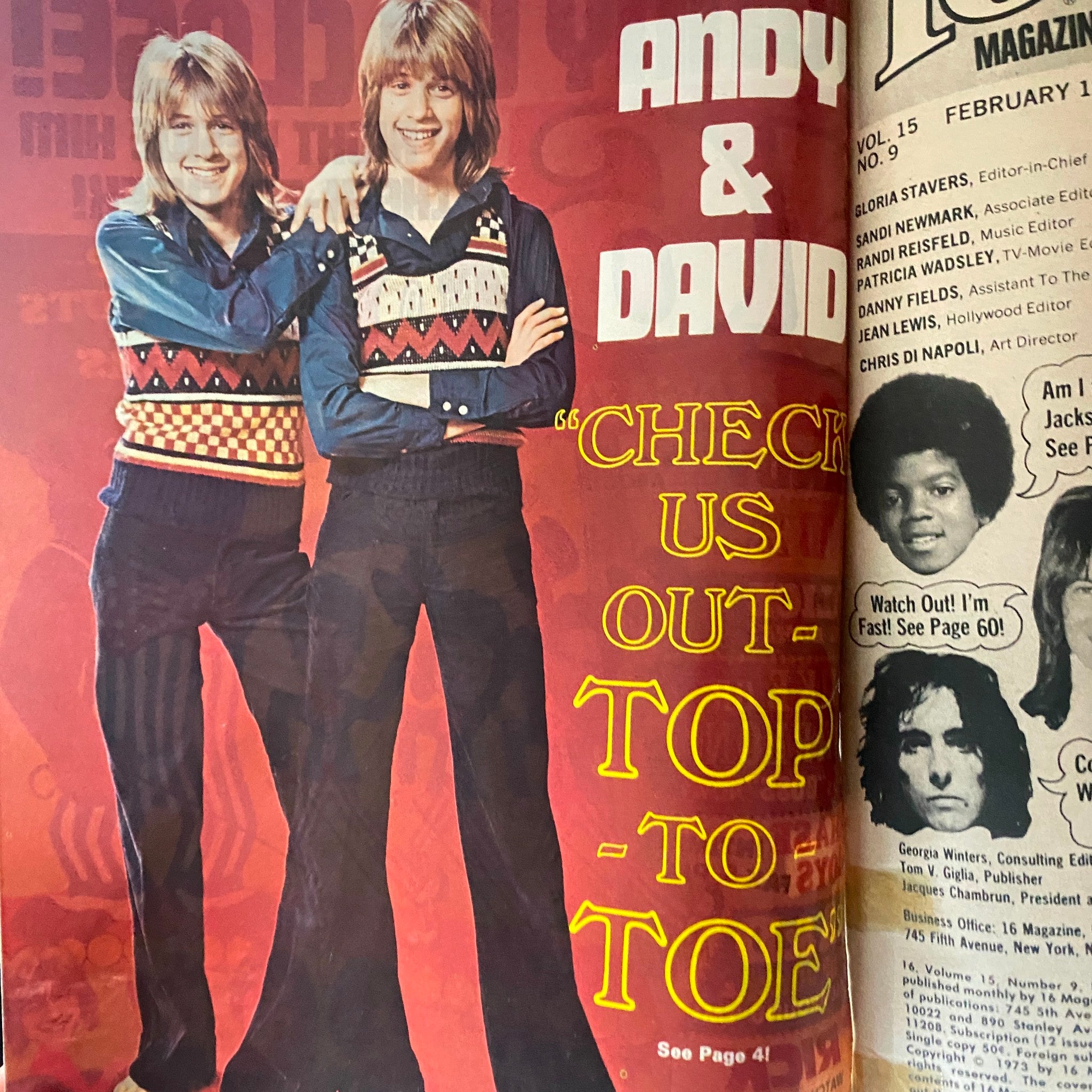 VTG 16 Magazine February 1974 Andy & David, Bobby Sherman w Poster