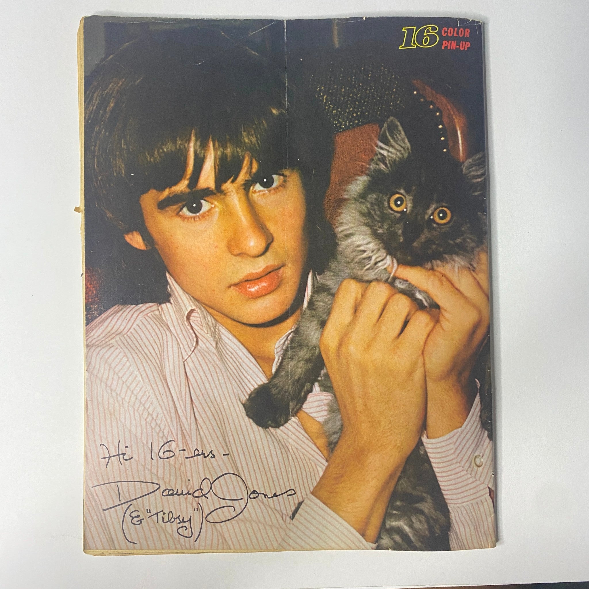 Color pin-up of Davy Jones holding a cat with an autograph in 16 Magazine May 1967 Vol. 8 No. 12, showcasing the charm of teen idols from the 1960s.