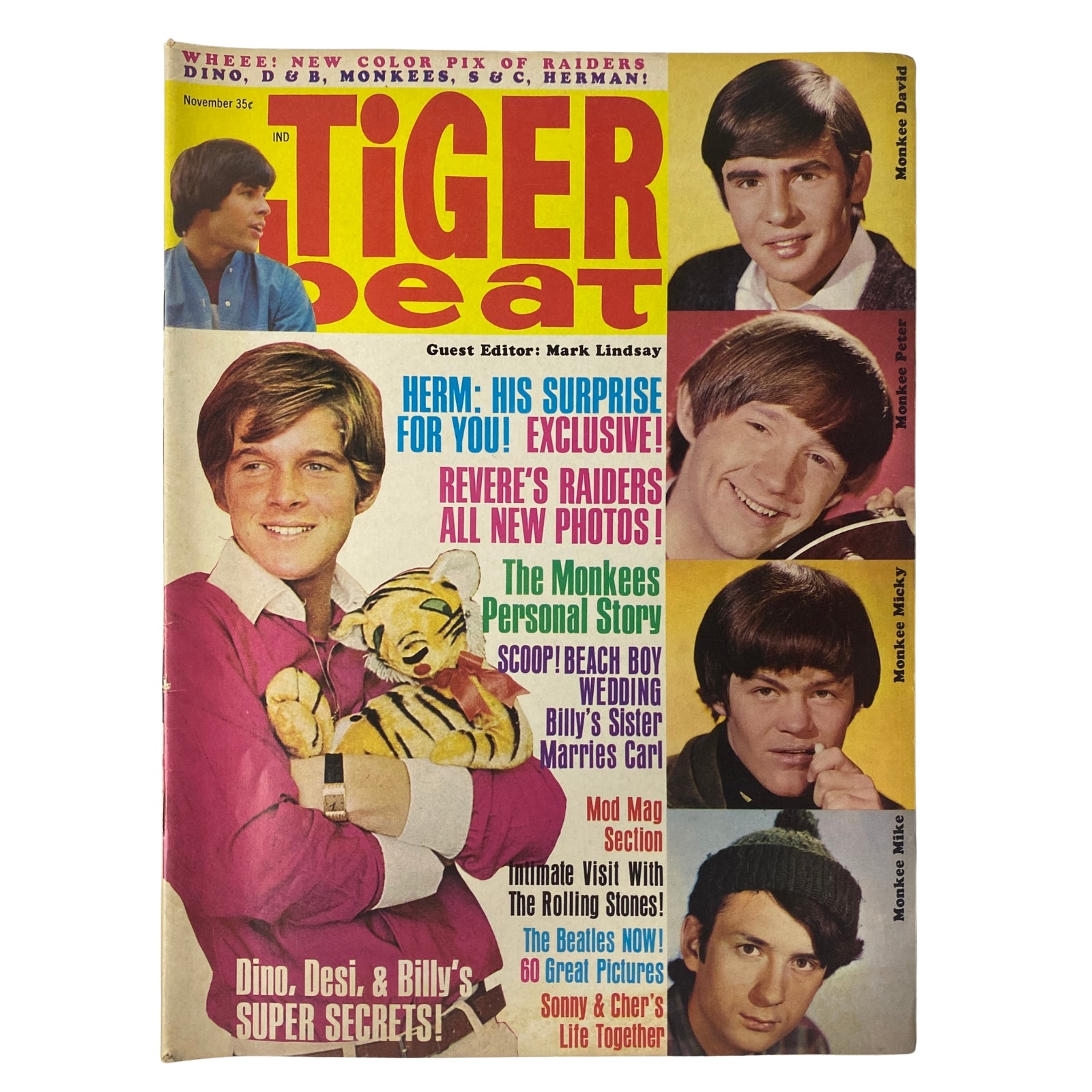 Tiger Beat Magazine November 1966 Dino, Desi & Billy Feature No Label