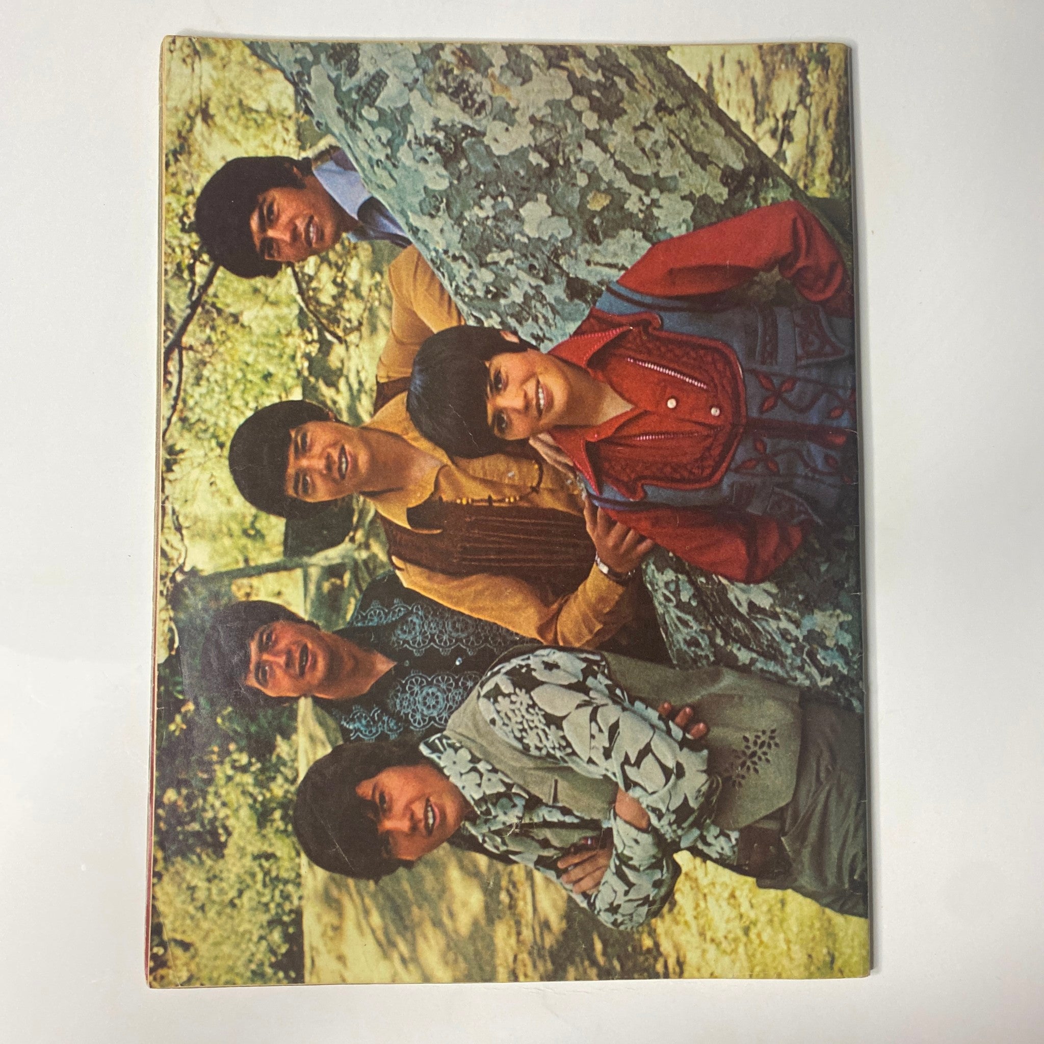 Cover image of the Tiger Beat Spectacular Magazine Summer 1970 illustrating a group of teen idols including David Cassidy, posing outdoors, highlighting the vibrant culture of 1970s teen fandom.