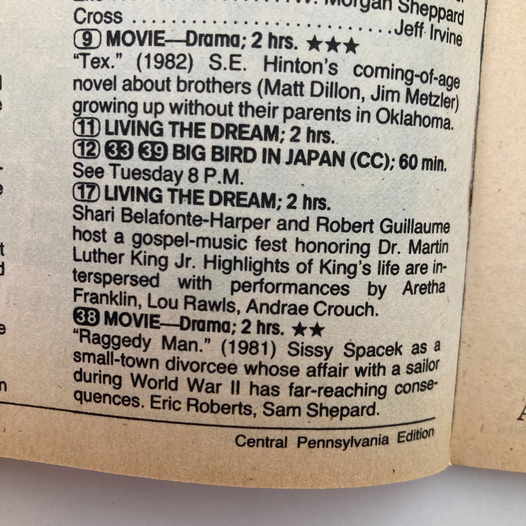 Interior page of the January 14, 1989 TV Guide Magazine listing programs like 'Living the Dream,' 'Big Bird in Japan,' and movies including 'Raggedy Man,' Central Pennsylvania Edition.