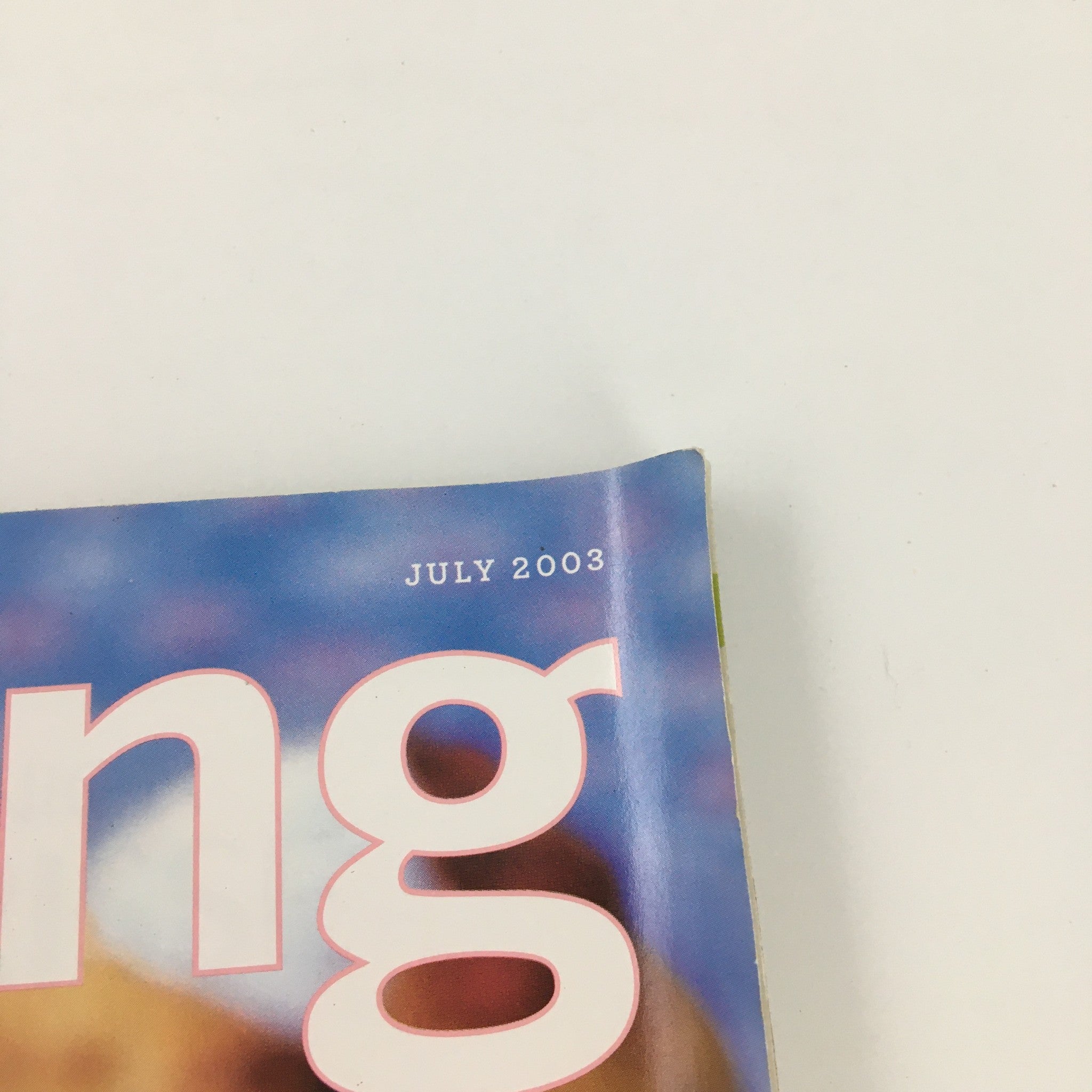 Martha Stewart Living Magazine July 2003 Summer Entertaining Issue, Newsstand