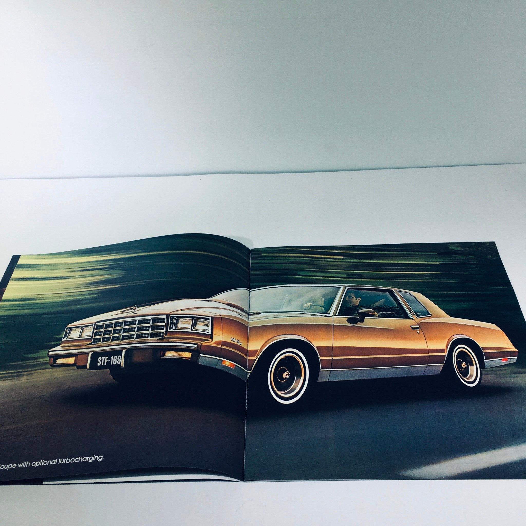 1981 Monte Carlo Sport Coupe w/Computer Command Control Car Sale Brochure