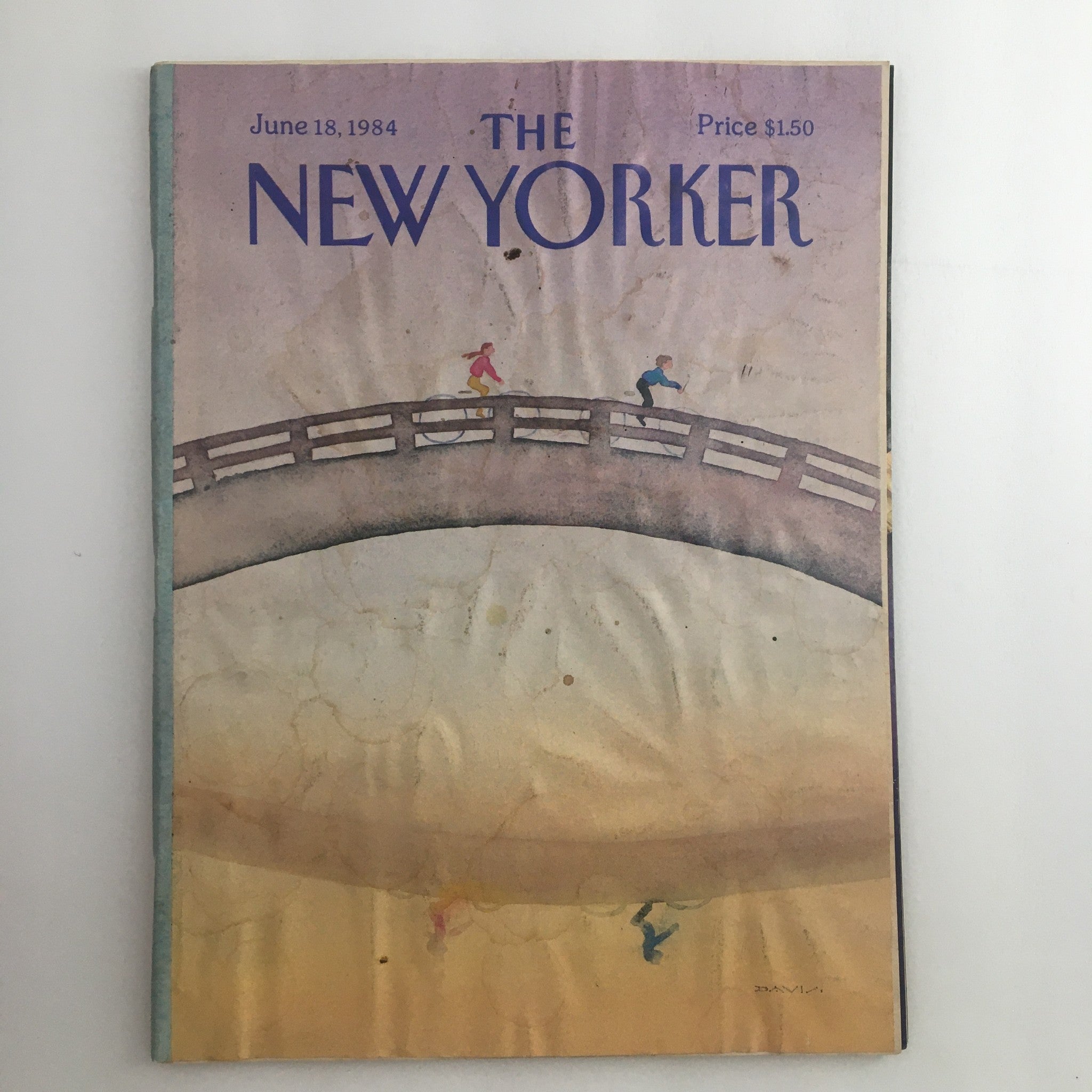 The New Yorker Full Magazine June 18 1984 Reflection Susan Davis No Label