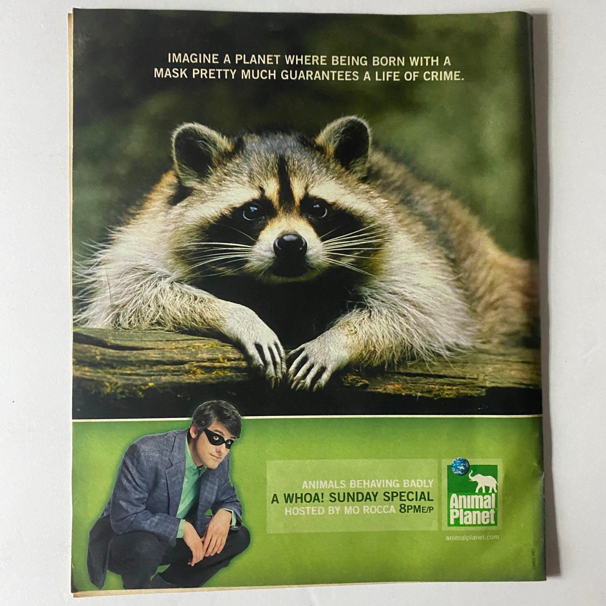 Back cover of Life Magazine July 1, 2005 featuring an advertisement for Animal Planet with a masked raccoon and a comedic character.