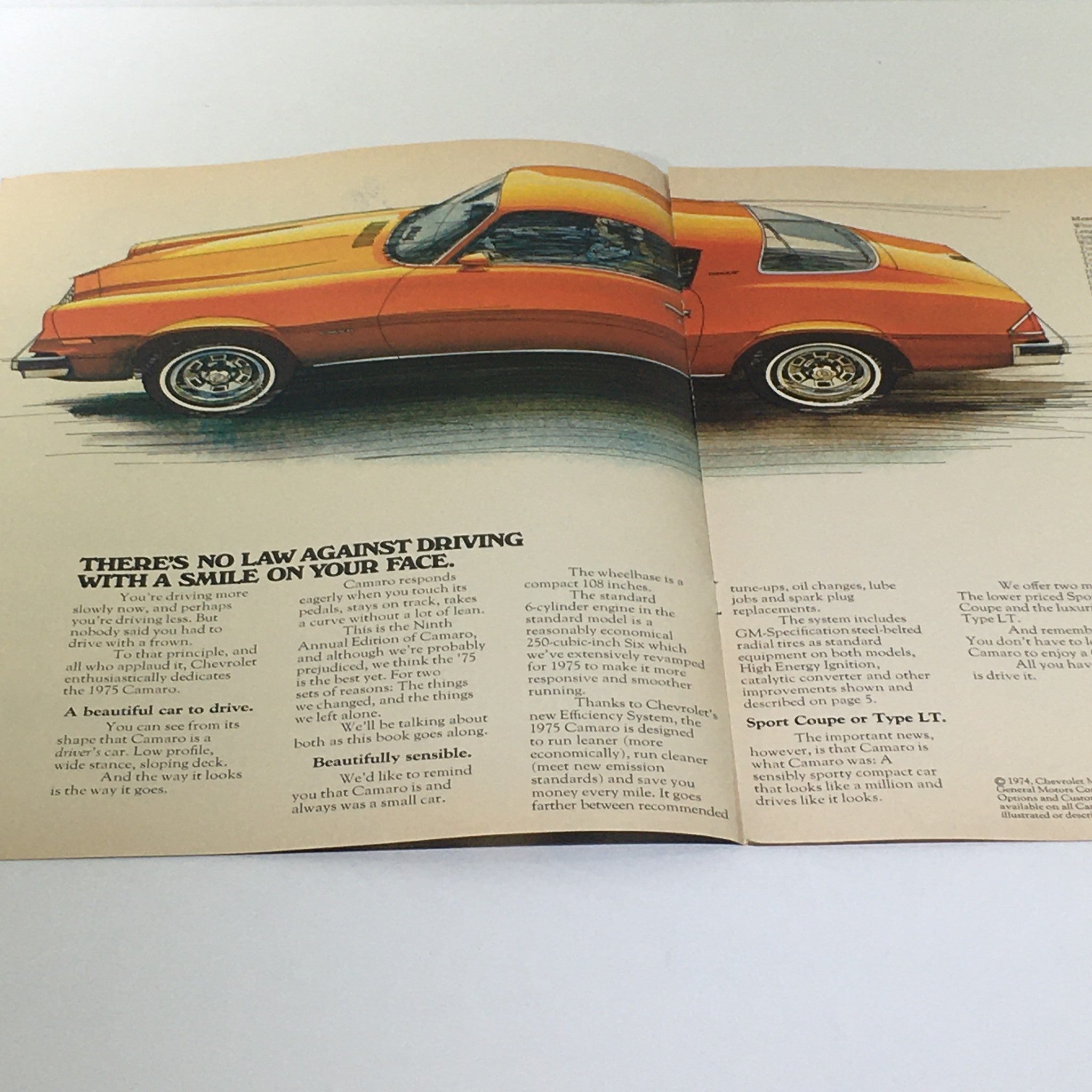 Vintage 1975 Camaro Chevrolet Sport Coupe or Type LT #3011 Car Catalog Brochure