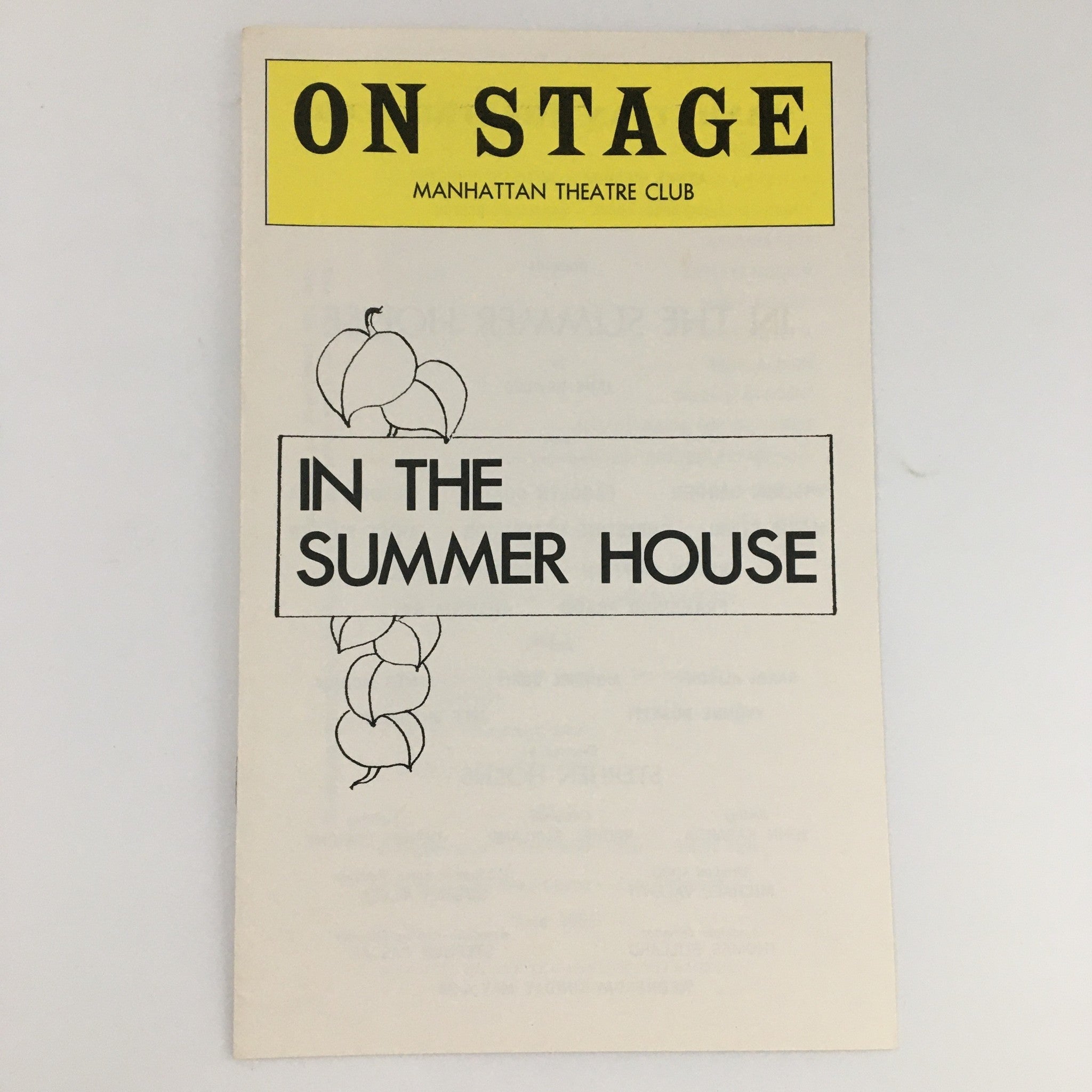 1977 On Stage Manhattan Theatre Club 'In The Summer House' Christine Estarbrook