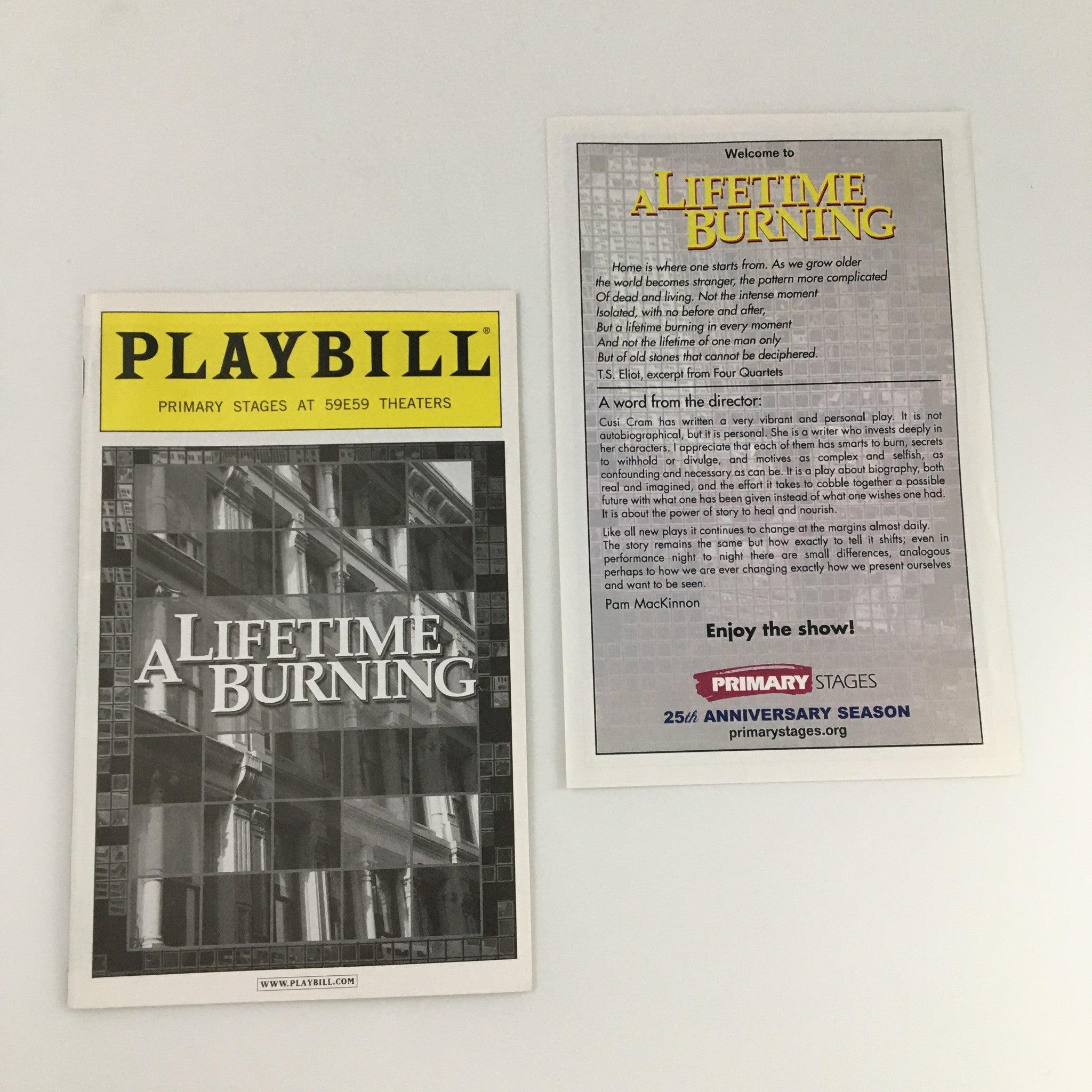 2009 Playbill 59E59 Theaters 'A Lifetime Burning' Raul Castillo, Isabel Keating