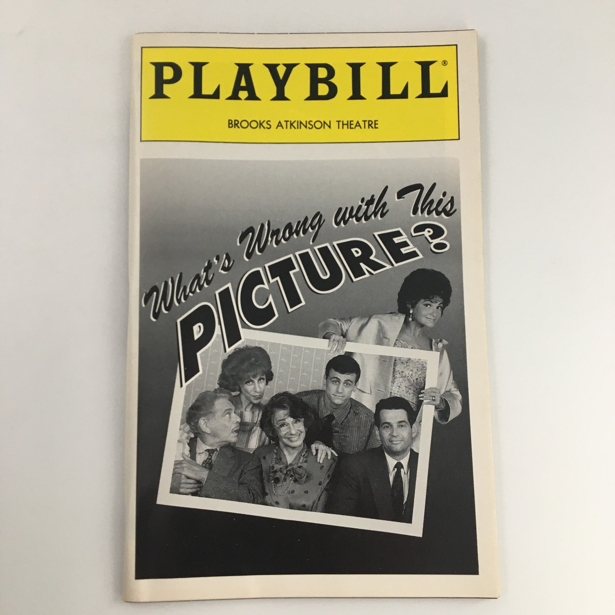 '94 Playbill Brooks Atkinson Theatre What's Wrong With This Picture David Moscow