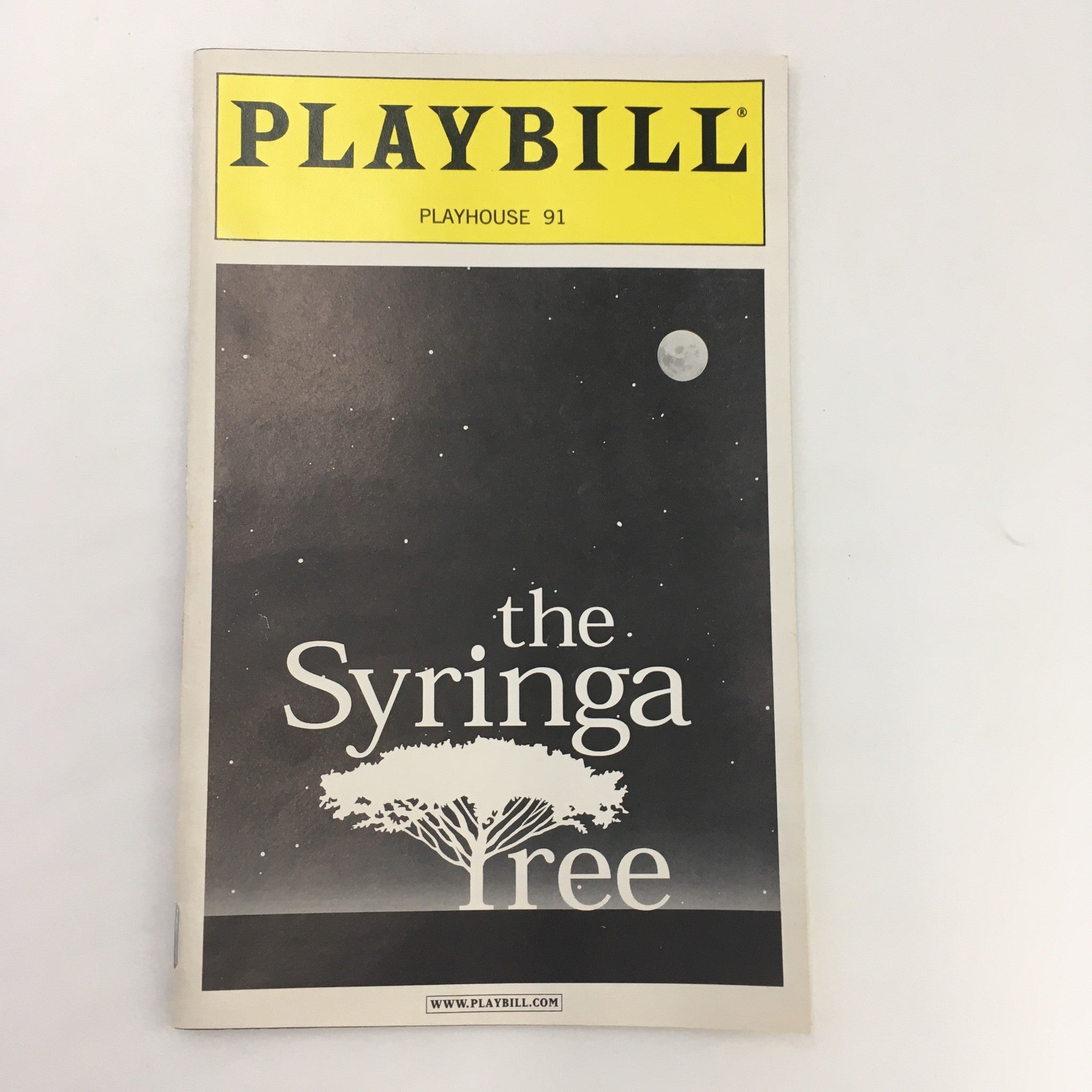 2001 Playbill Playhouse 91 Matt Sallinger's ‘The Syringa Tree’ by Pamela Gien