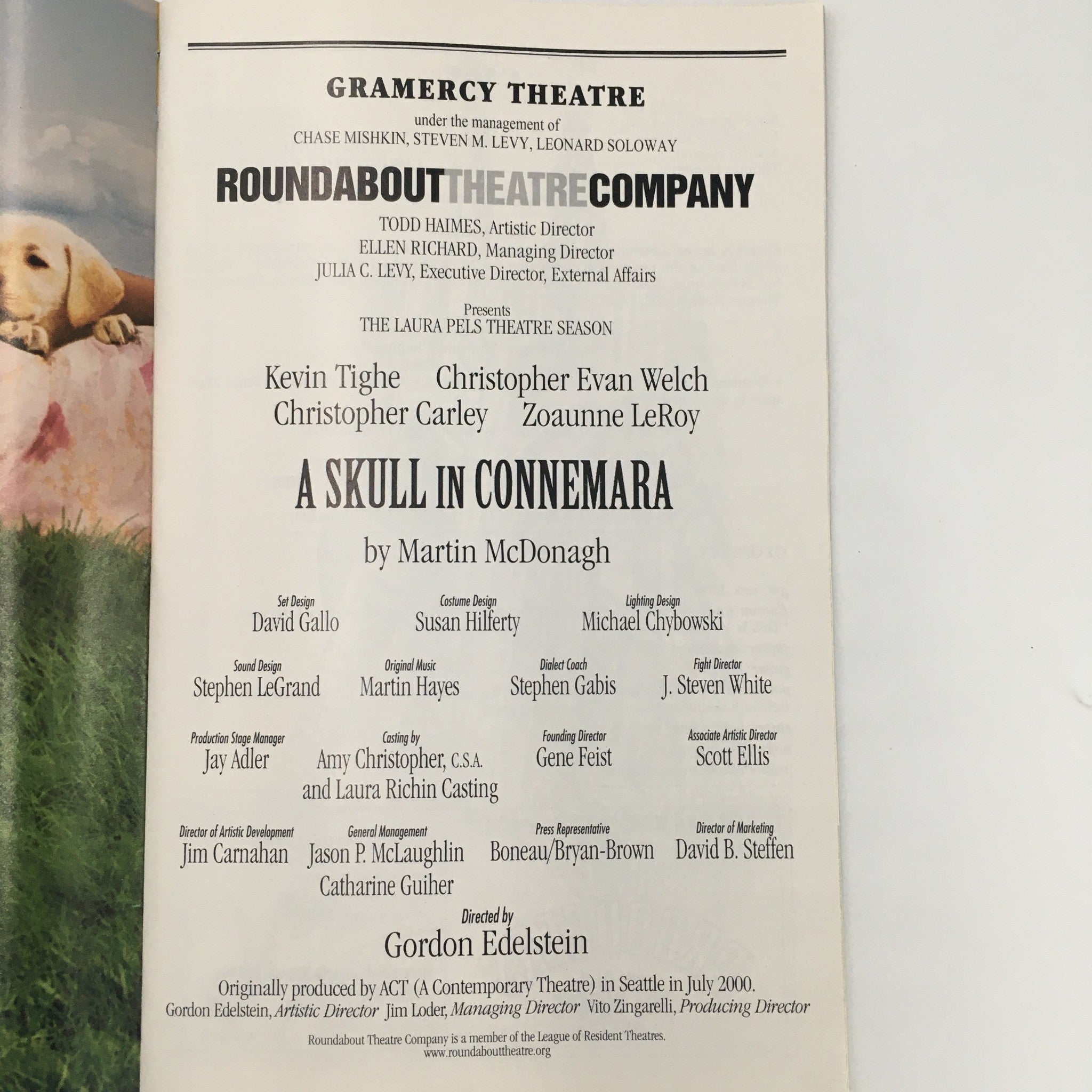 2001 Playbill Gramercy Theatre 'A Skull in Connemara' Kevin Tighe, Zoaunne LeRoy