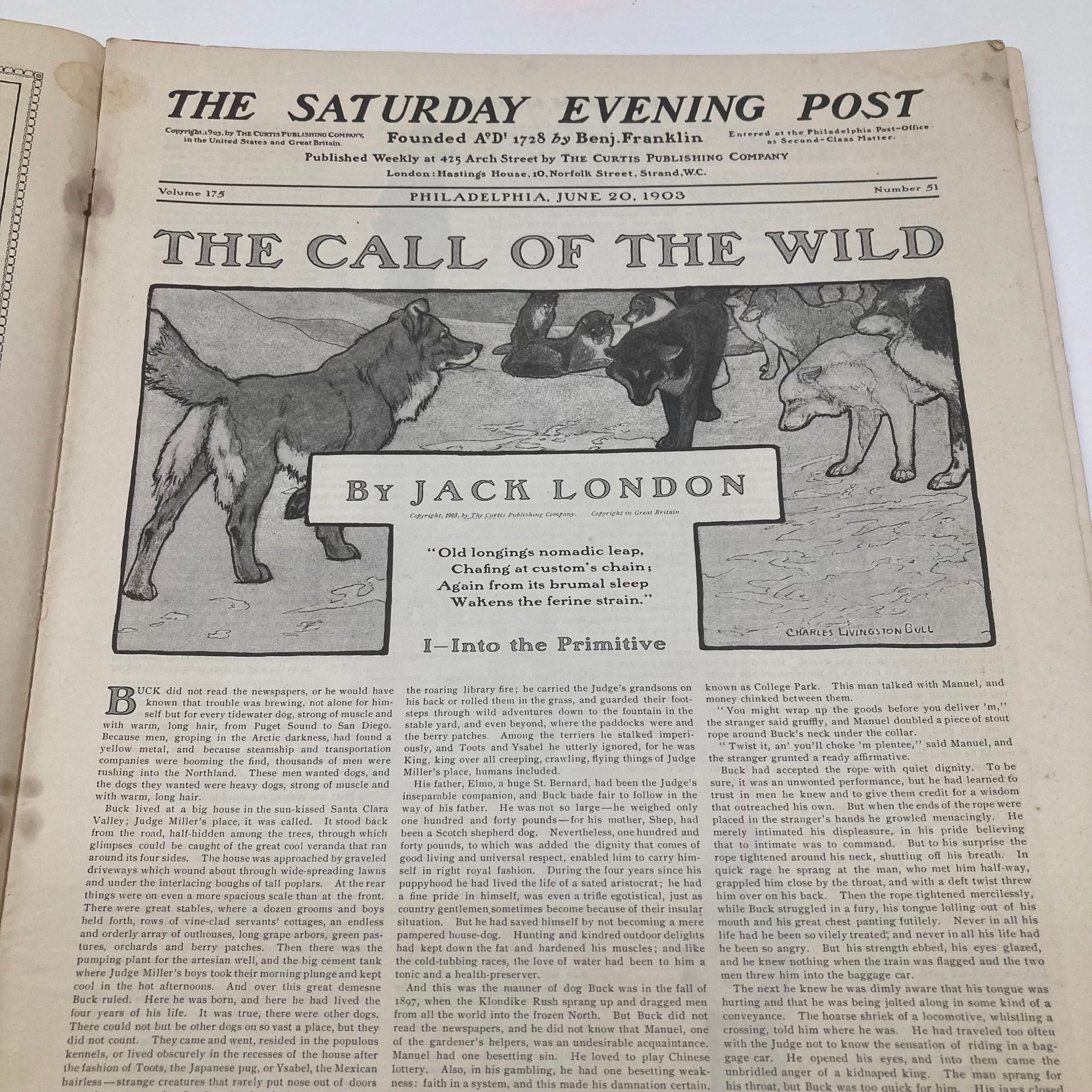 Saturday Evening Post Illustrated Cover June 20 1903 The Call of The Wild