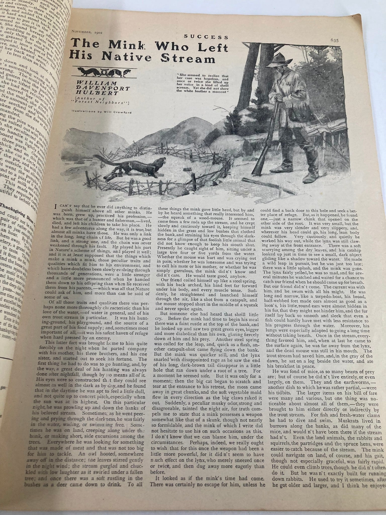 Page from VTG Success Magazine, November 1902 showcasing the article 'The Mink Who Left His Native Stream' accompanied by an illustration.