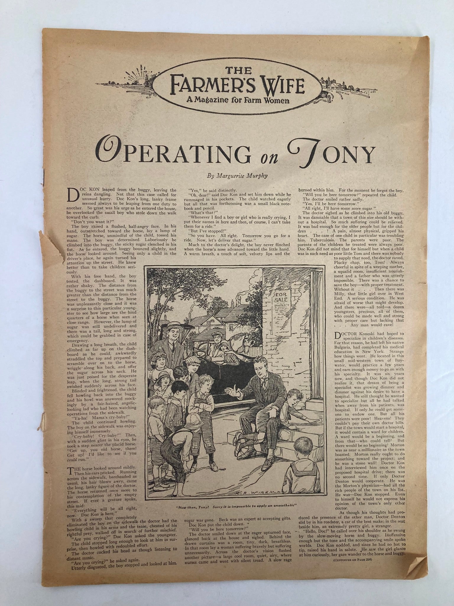 VTG The Farmer's Wife Magazine July 1925 Operating on Tony No Label