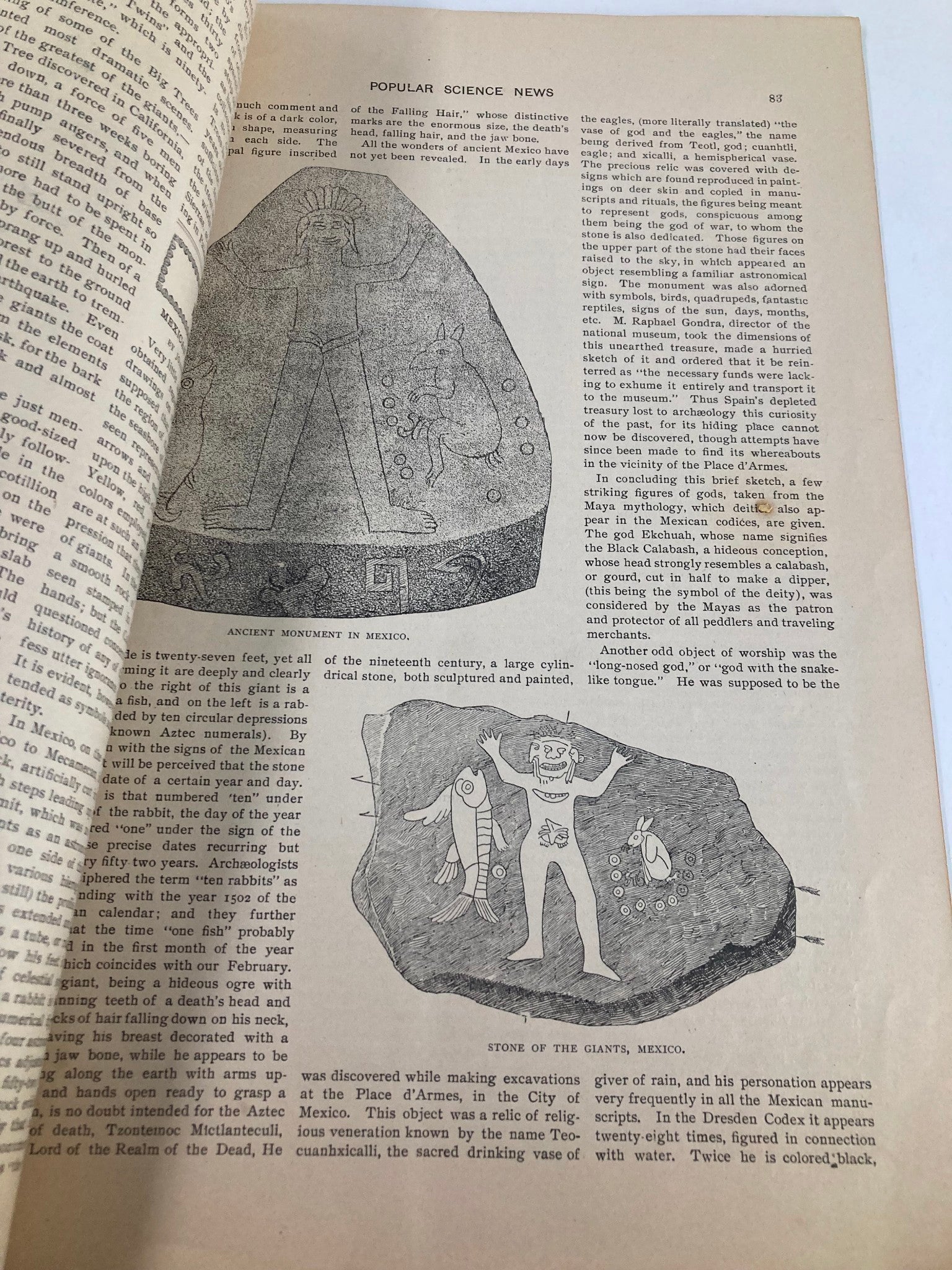 VTG Popular Science News Catalog April 1902 Flowers of the Bermuda Sea