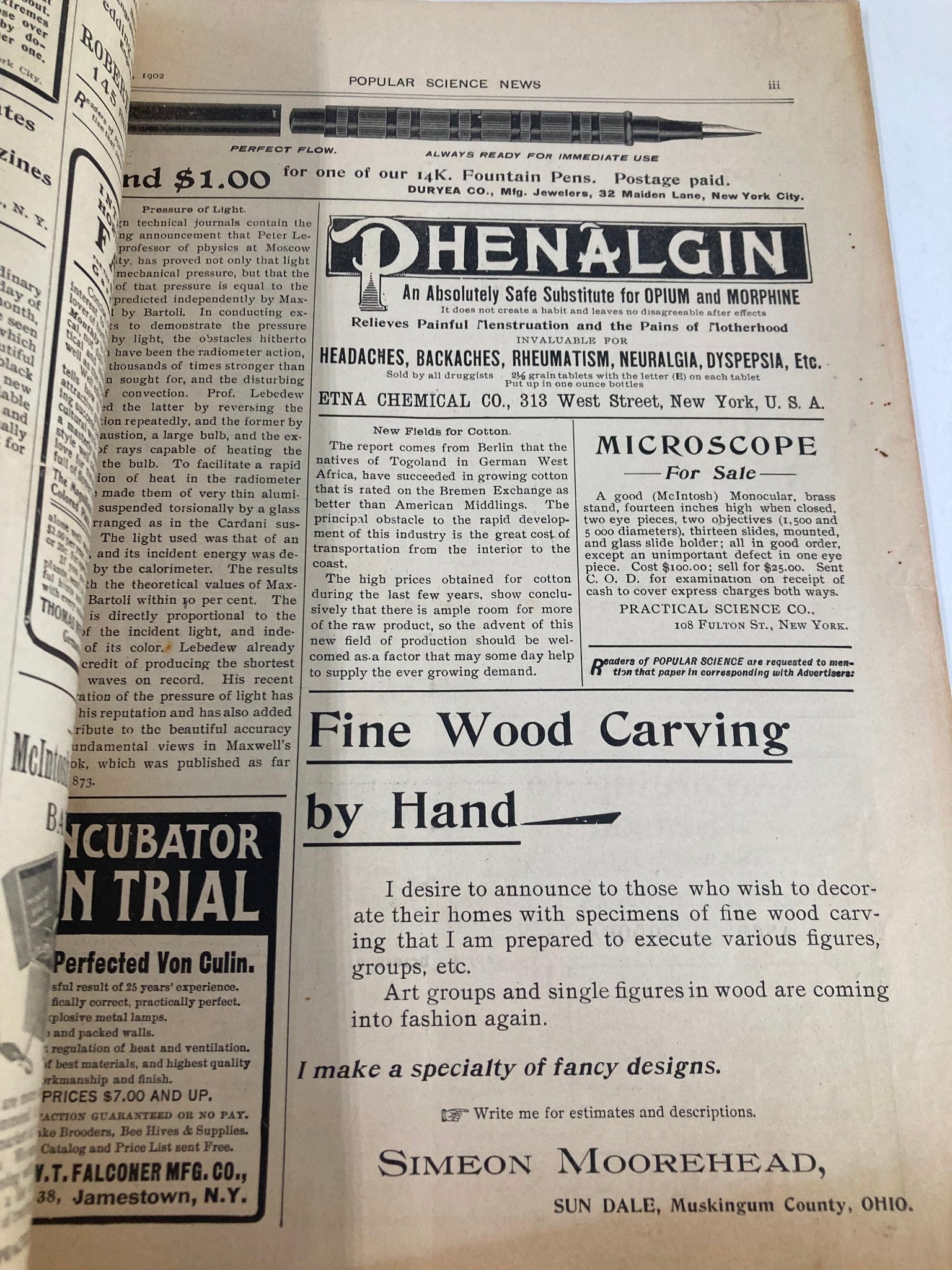 VTG Popular Science News Catalog April 1902 Flowers of the Bermuda Sea