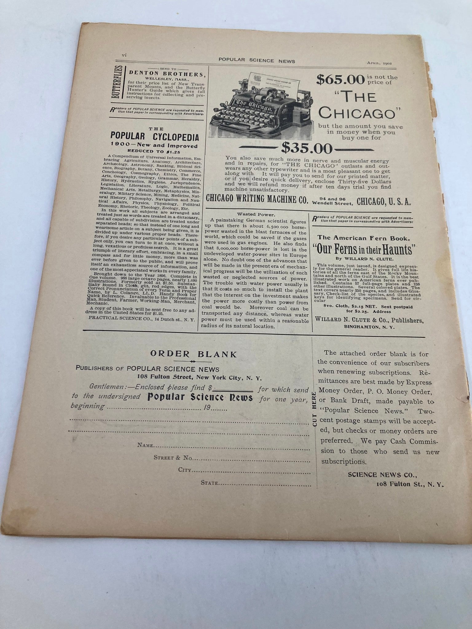 VTG Popular Science News Catalog April 1902 Flowers of the Bermuda Sea