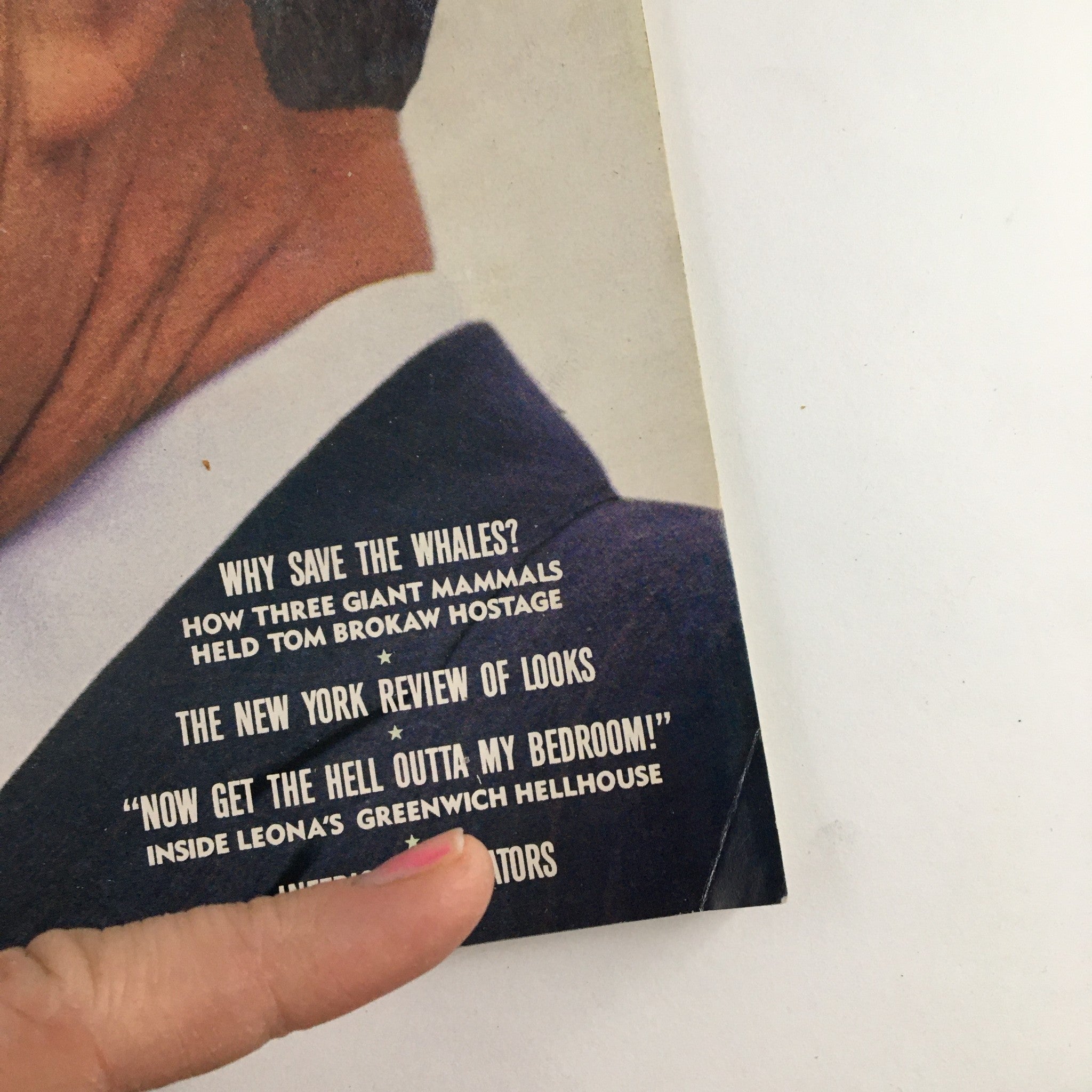 Detail of the cover of Spy Magazine October 1989, highlighting article titles including 'Why Save the Whales?' and 'The New York Review of Looks' alongside President George Bush's image.