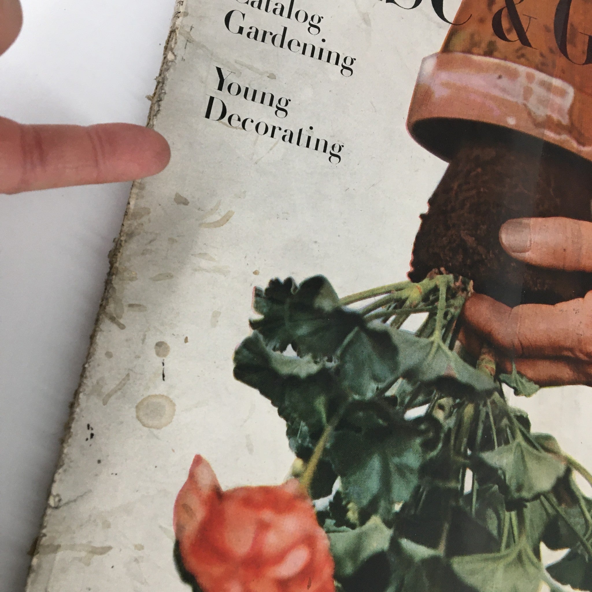 Detailed view of the VTG House & Garden Magazine January 1946 Catalog cover, focusing on gardening and decorating sections.