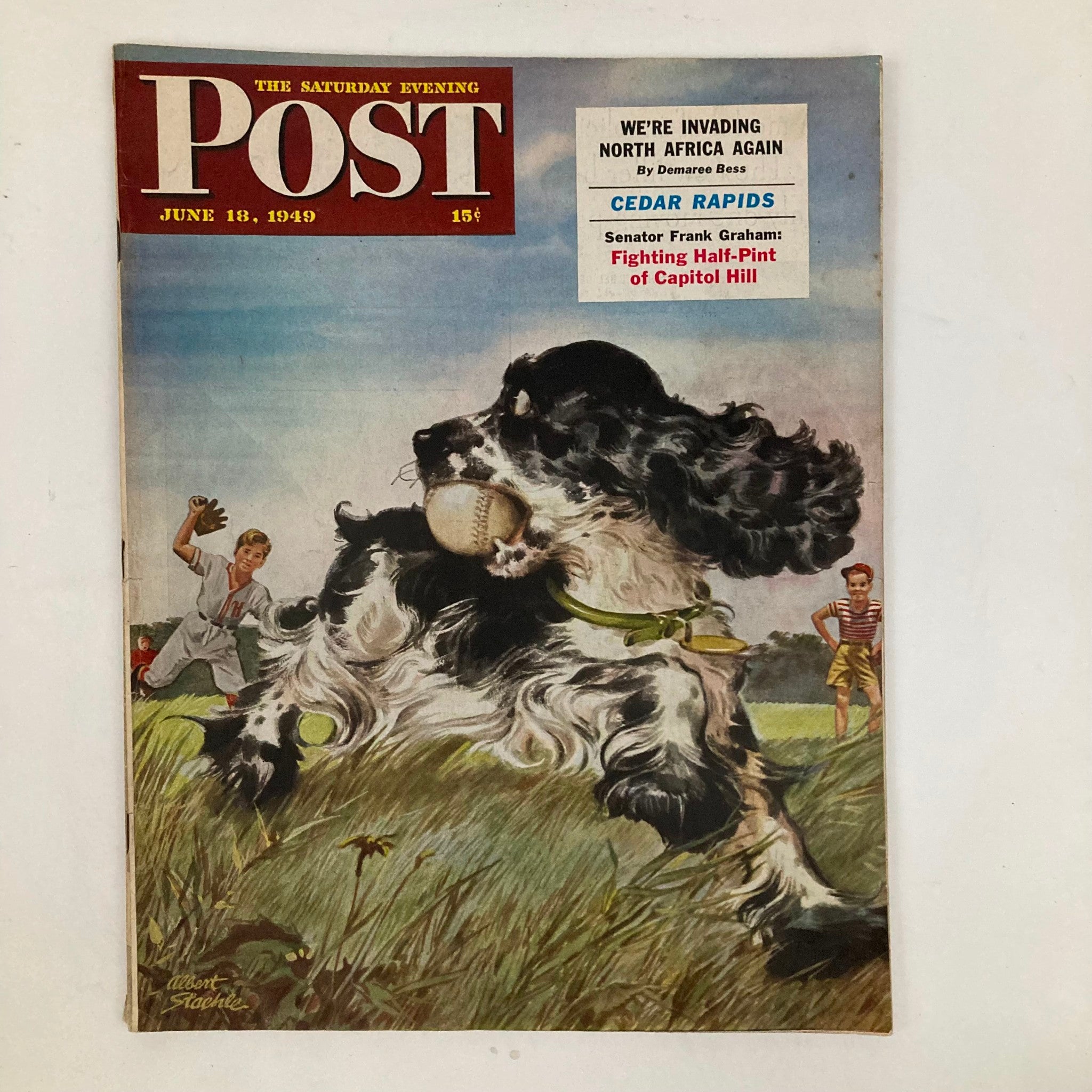 Saturday Evening Post Magazine June 18 1949 Dogdom - Albert Staehle No Label