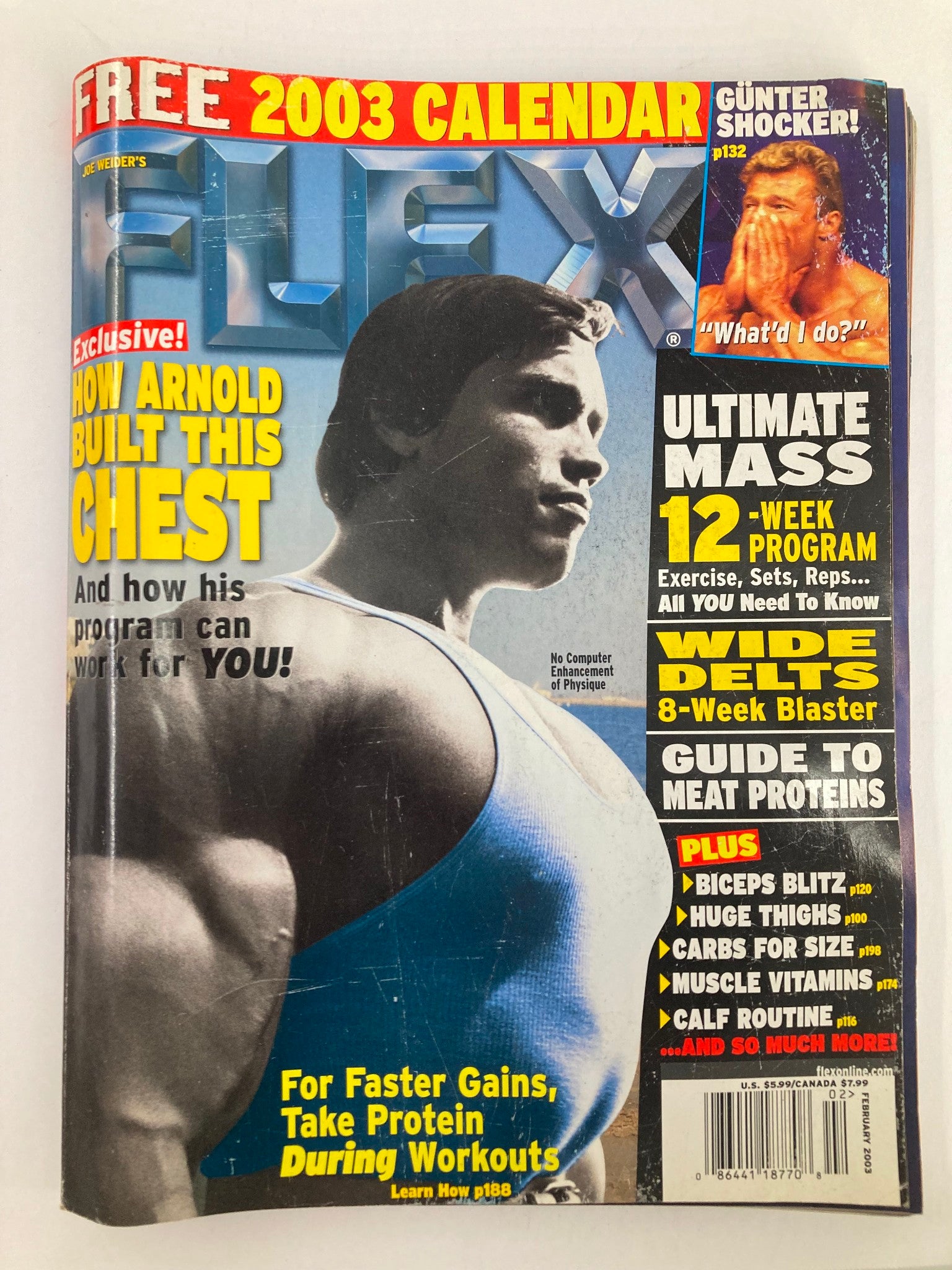 Cover of Flex Magazine February 2003 Vol 20 #12 featuring Arnold Schwarzenegger, showcasing a muscular bodybuilder with a striking pose. Includes promotional text about a 2003 calendar, exercise programs, and nutrition guidance, reflecting the vintage bodybuilding culture.