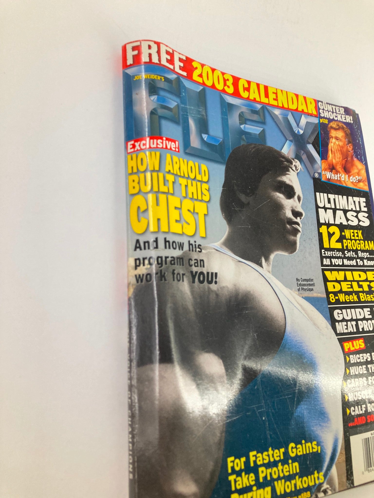 Cover of Flex Magazine February 2003 Vol 20 #12 featuring Arnold Schwarzenegger, showcasing bodybuilding tips and an exclusive article on developing chest muscles.