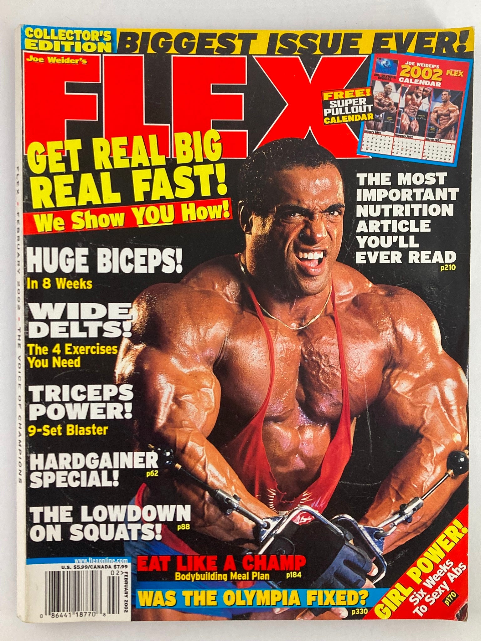 Flex Magazine February 2002 Vol 19 #12 cover featuring bodybuilder Dennis James showcasing fitness culture with a striking image.