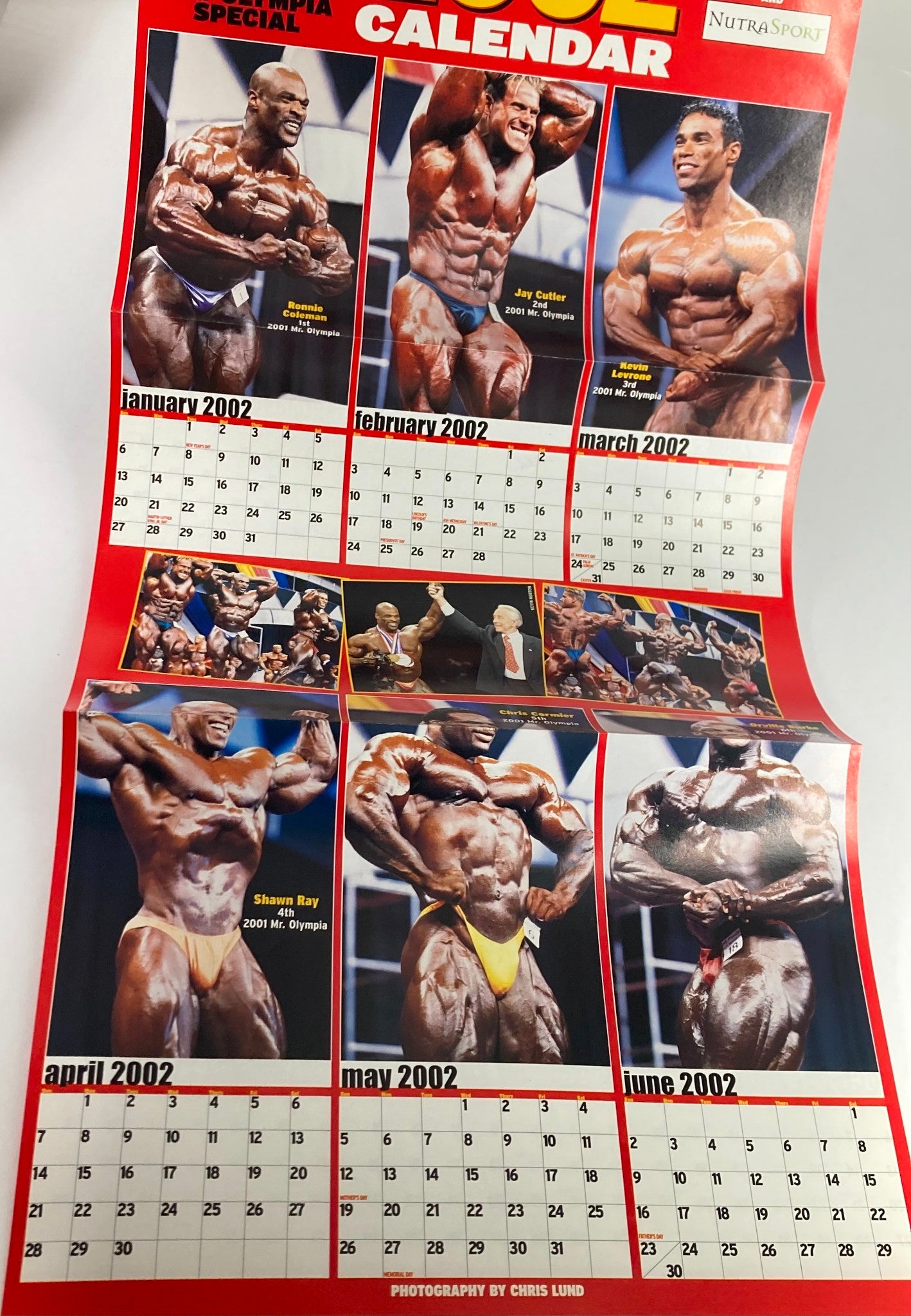 Special poster calendar included in Flex Magazine February 2002 Vol 19 #12 featuring bodybuilders, highlighting months with vibrant fitness imagery.