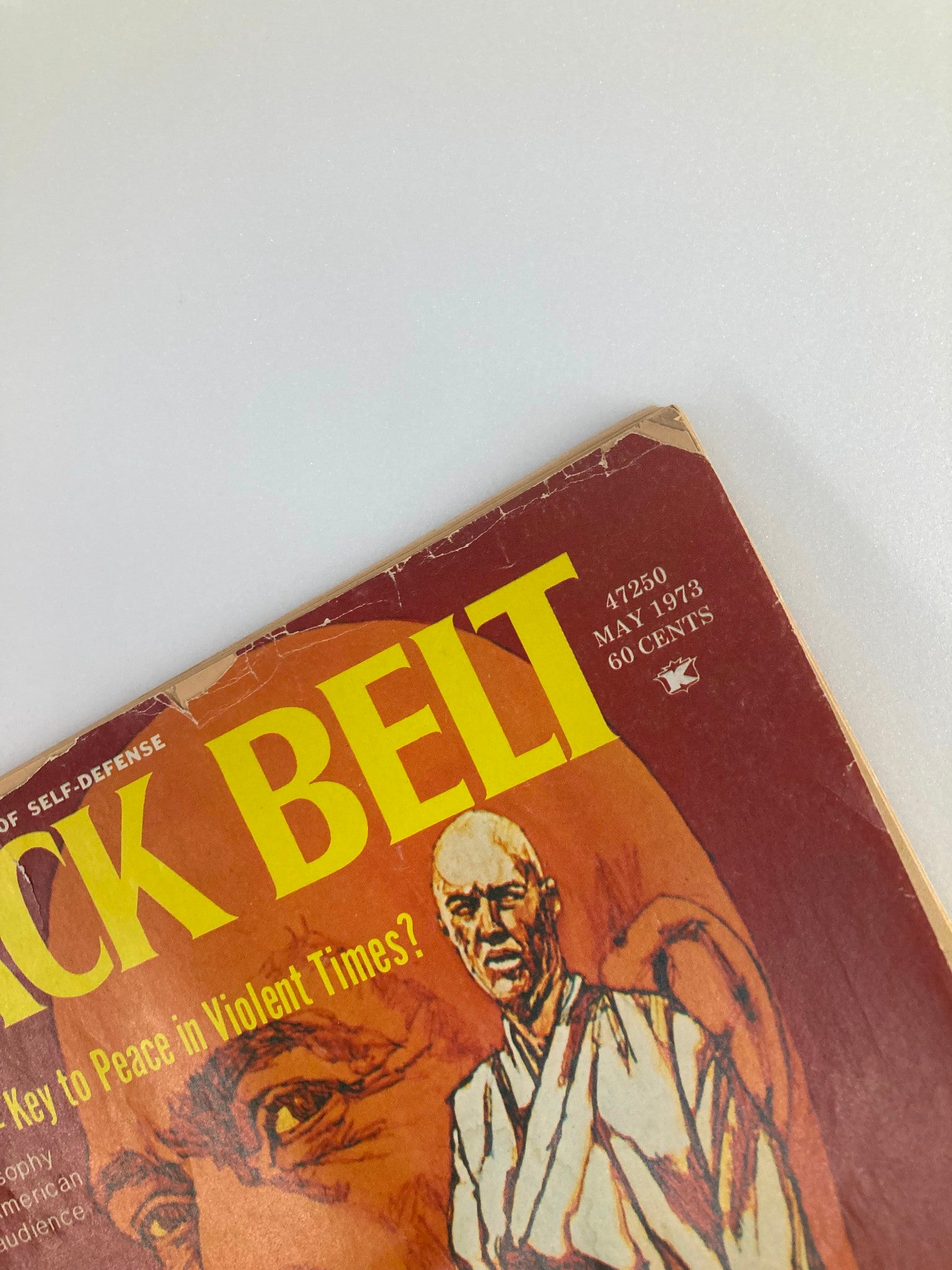 VTG Black Belt Magazine May 1973 Walk A Few Steps and Gasp For Air No Label