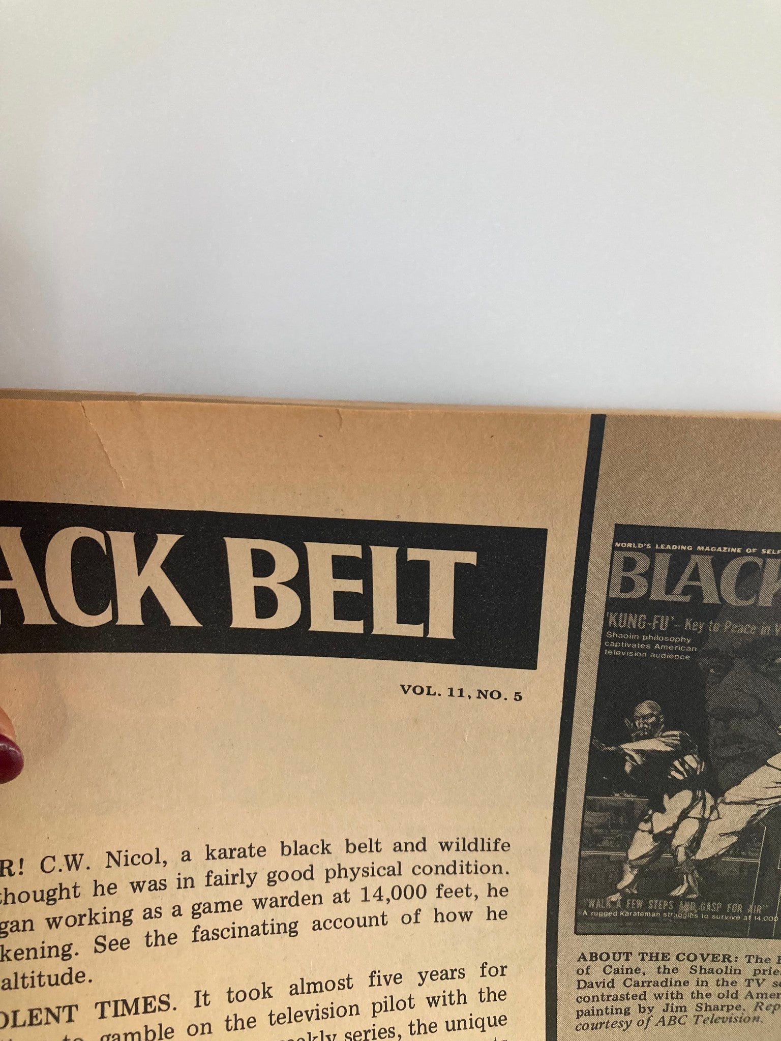 VTG Black Belt Magazine May 1973 Walk A Few Steps and Gasp For Air No Label