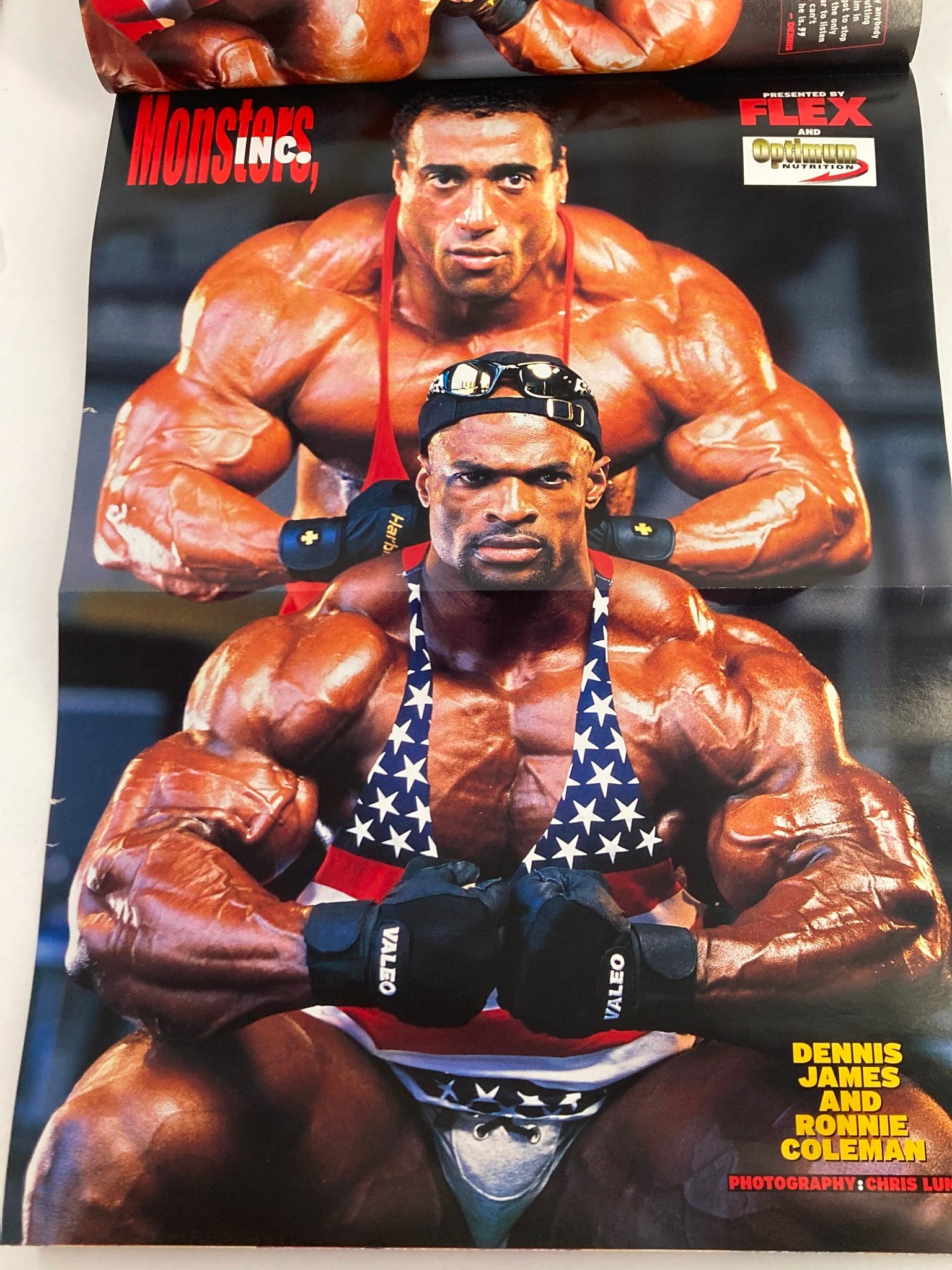 Poster image from Flex Magazine April 2002 Vol 20 #2 showcasing bodybuilders Dennis James and Ronnie Coleman in a striking pose.