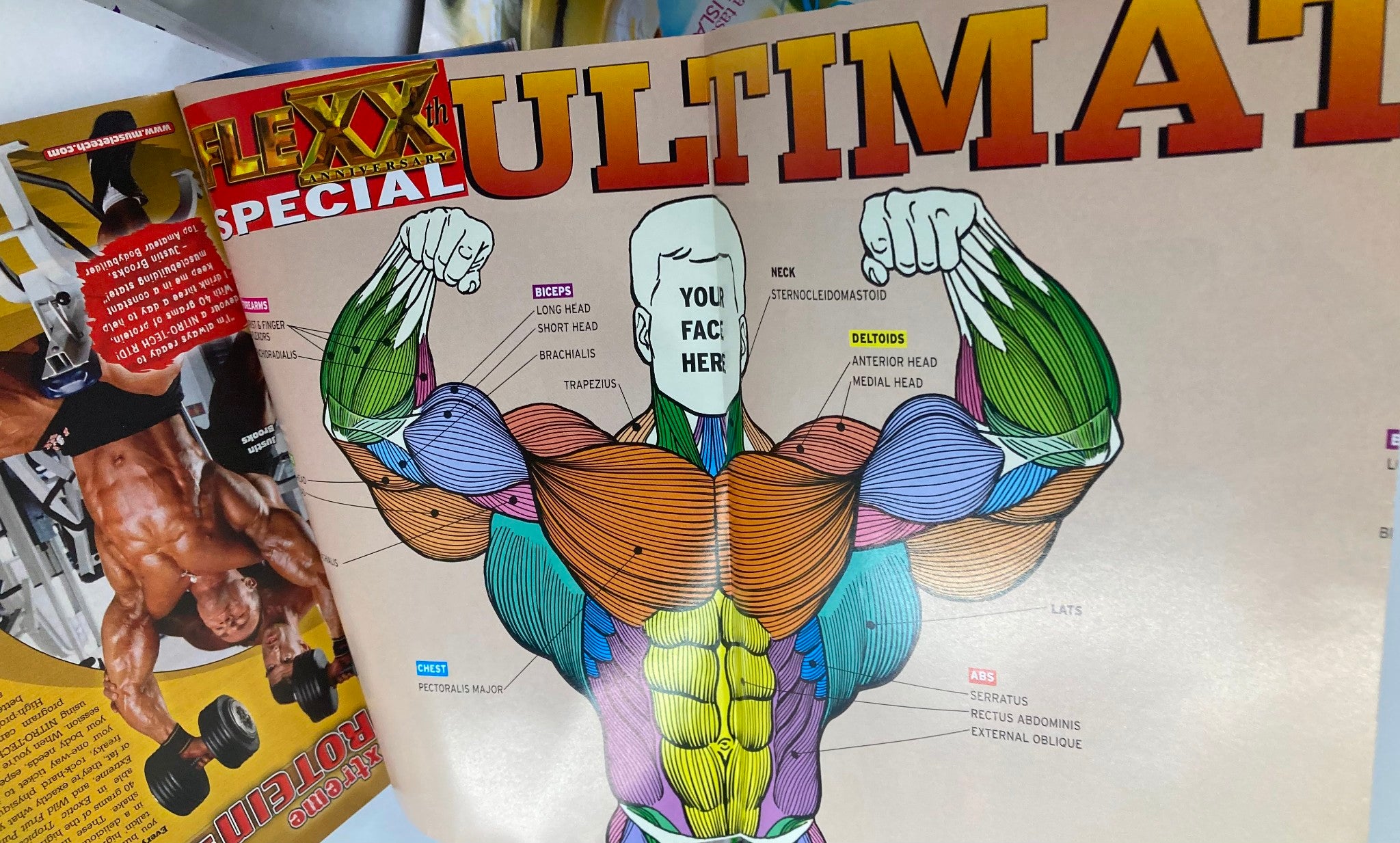 Illustration from Flex Magazine April 2003 showcasing a muscle anatomy diagram with labeled muscle groups, part of educational content related to bodybuilding.