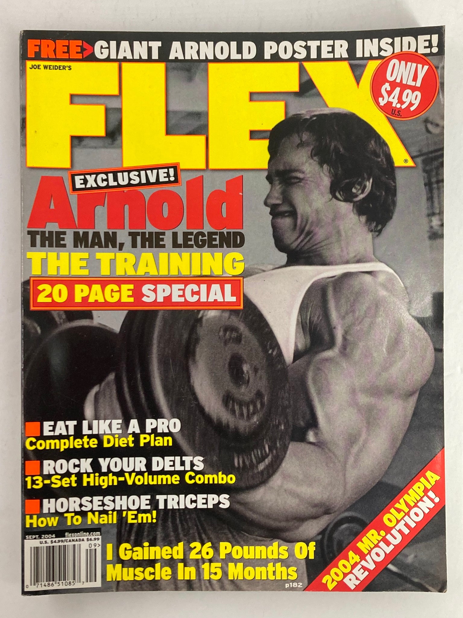 Flex Magazine September 2004 Vol 22 #7 featuring Arnold Schwarzenegger on the cover with a striking image of a bodybuilder. This issue includes a giant poster inside and articles on training techniques, diet, and bodybuilding culture.