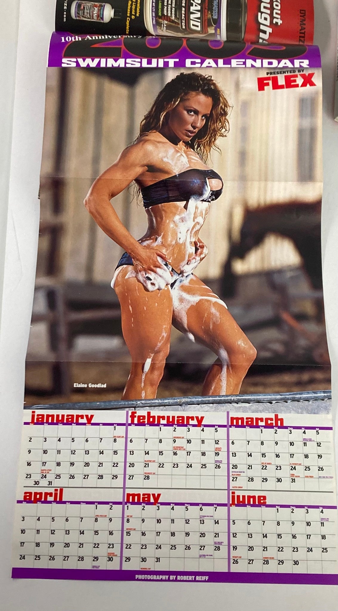 Flex Magazine February 2005 Vol 22 #12 Jenny Lynn Cover w Poster No Label