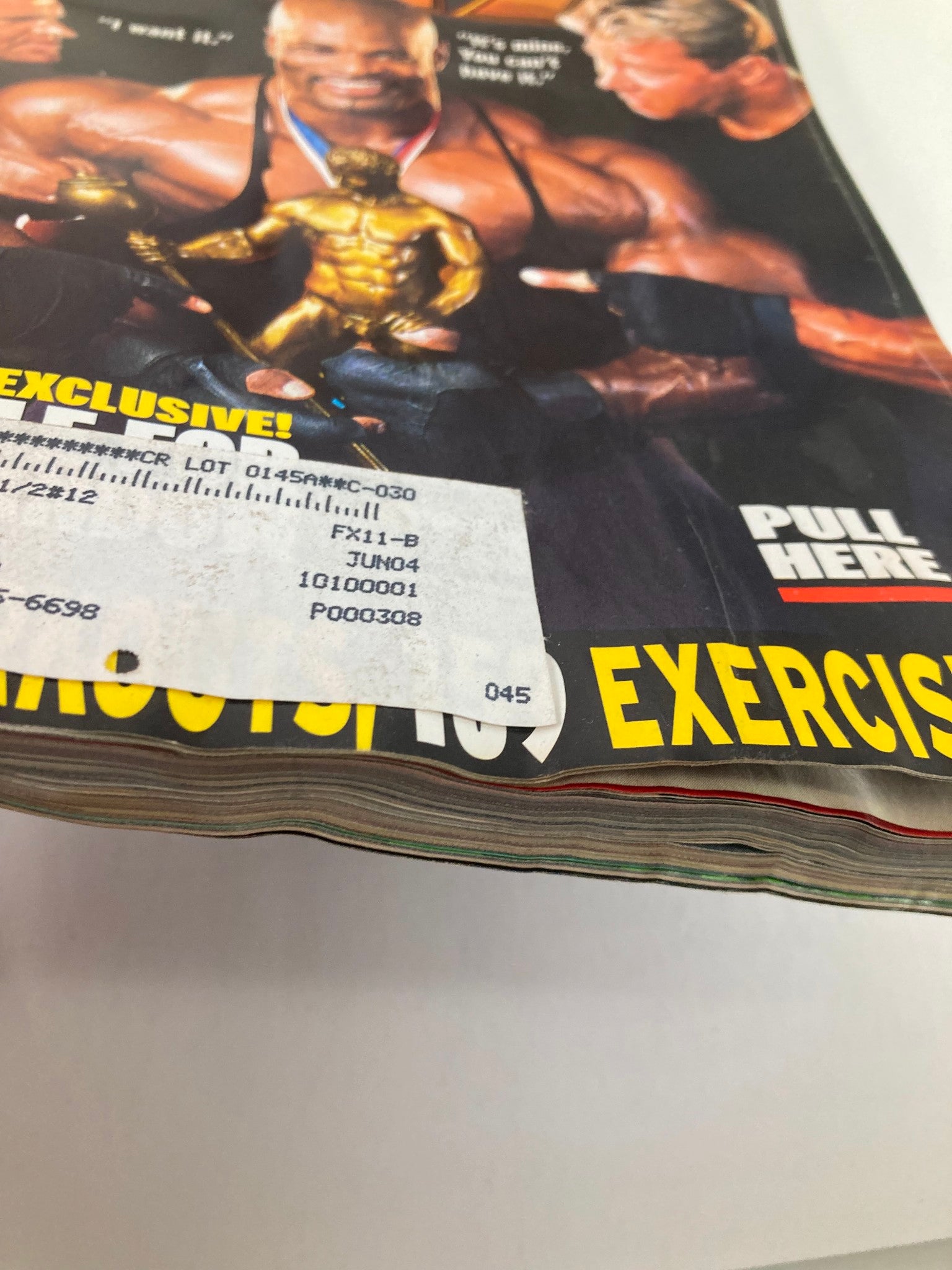 Side view of Flex Magazine November 2003 Vol 21 #9 highlighting the spine and label details.