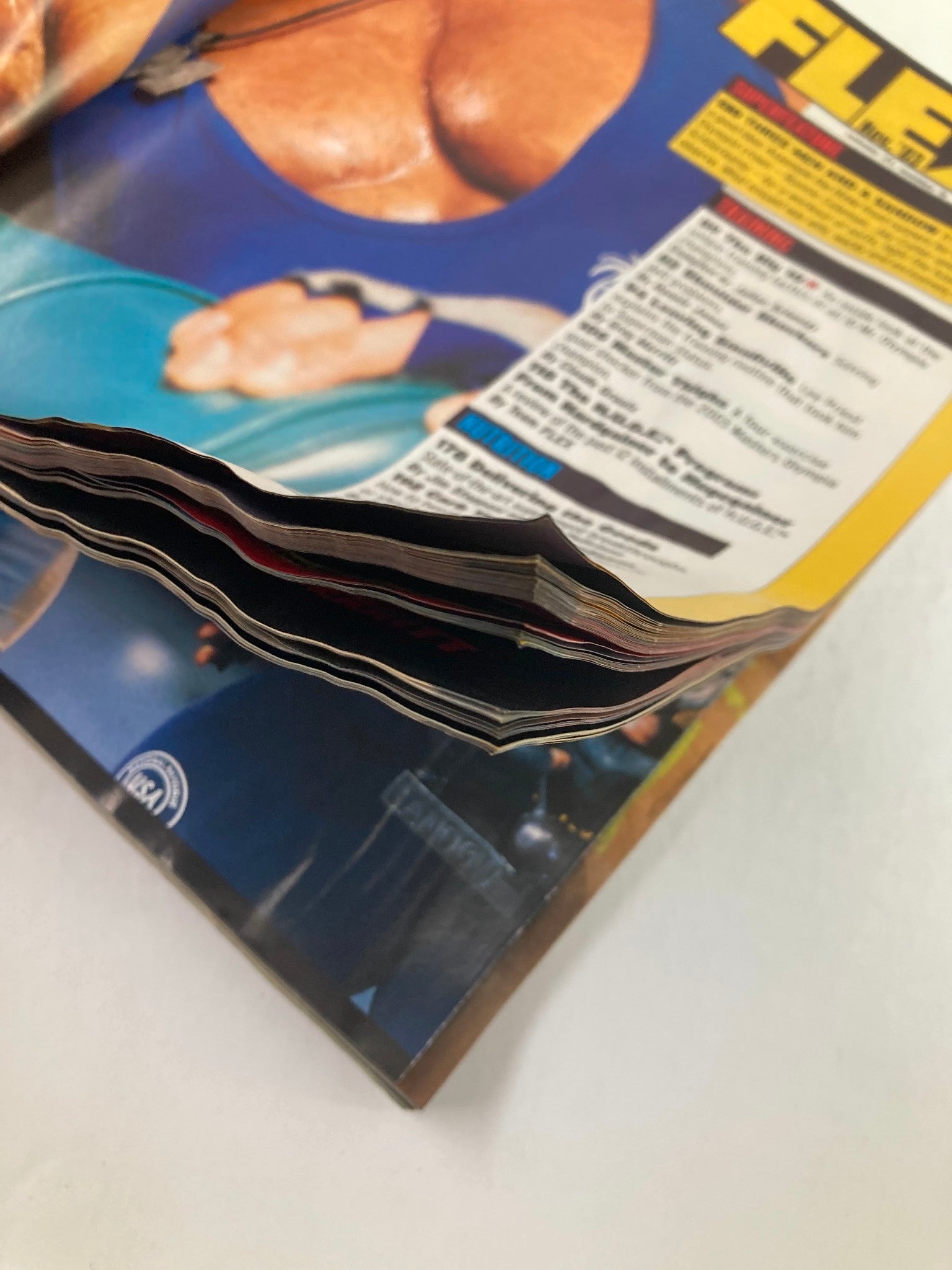 Close-up view of the spine and pages of Flex Magazine November 2003 Vol 21 #9, showcasing the magazine's slightly worn edges and colorful content.