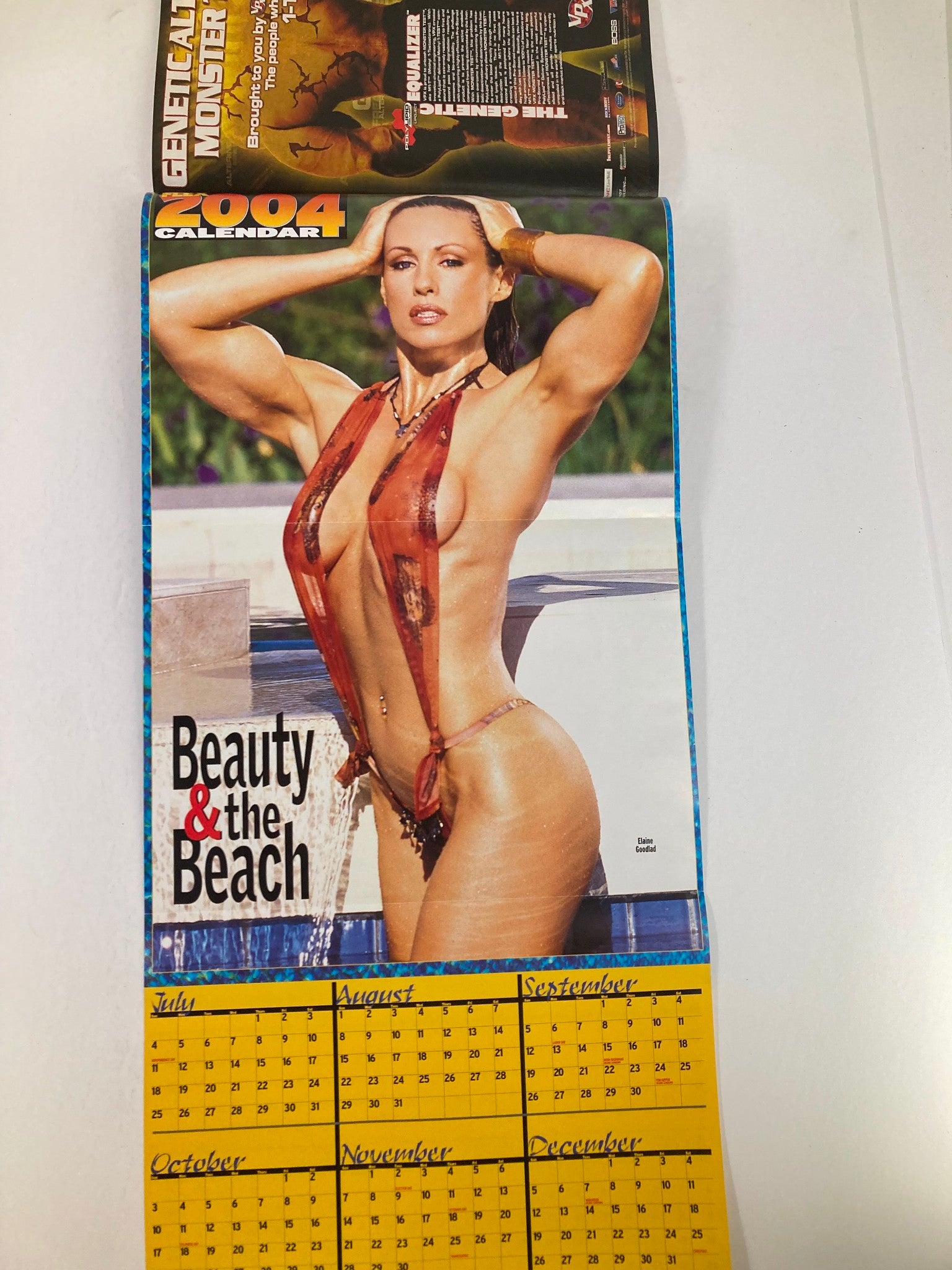 Flex Magazine March 2004 Vol 22 #1 poster featuring a model in a swimsuit titled 'Beauty & the Beach', showcasing swimwear and fitness culture of the early 2000s.