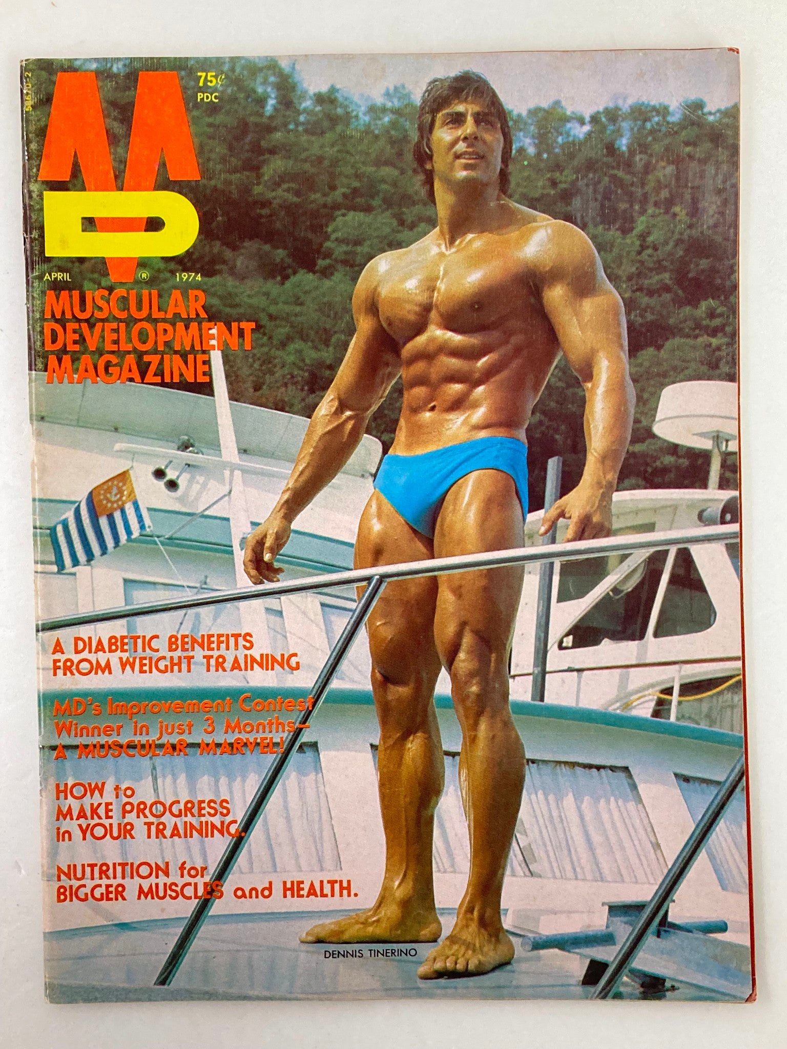 Cover of VTG Muscular Development Magazine April 1974 Vol 11 #4 featuring Dennis Tinerino posing with impressive muscularity, encapsulating the fitness culture of the 1970s.